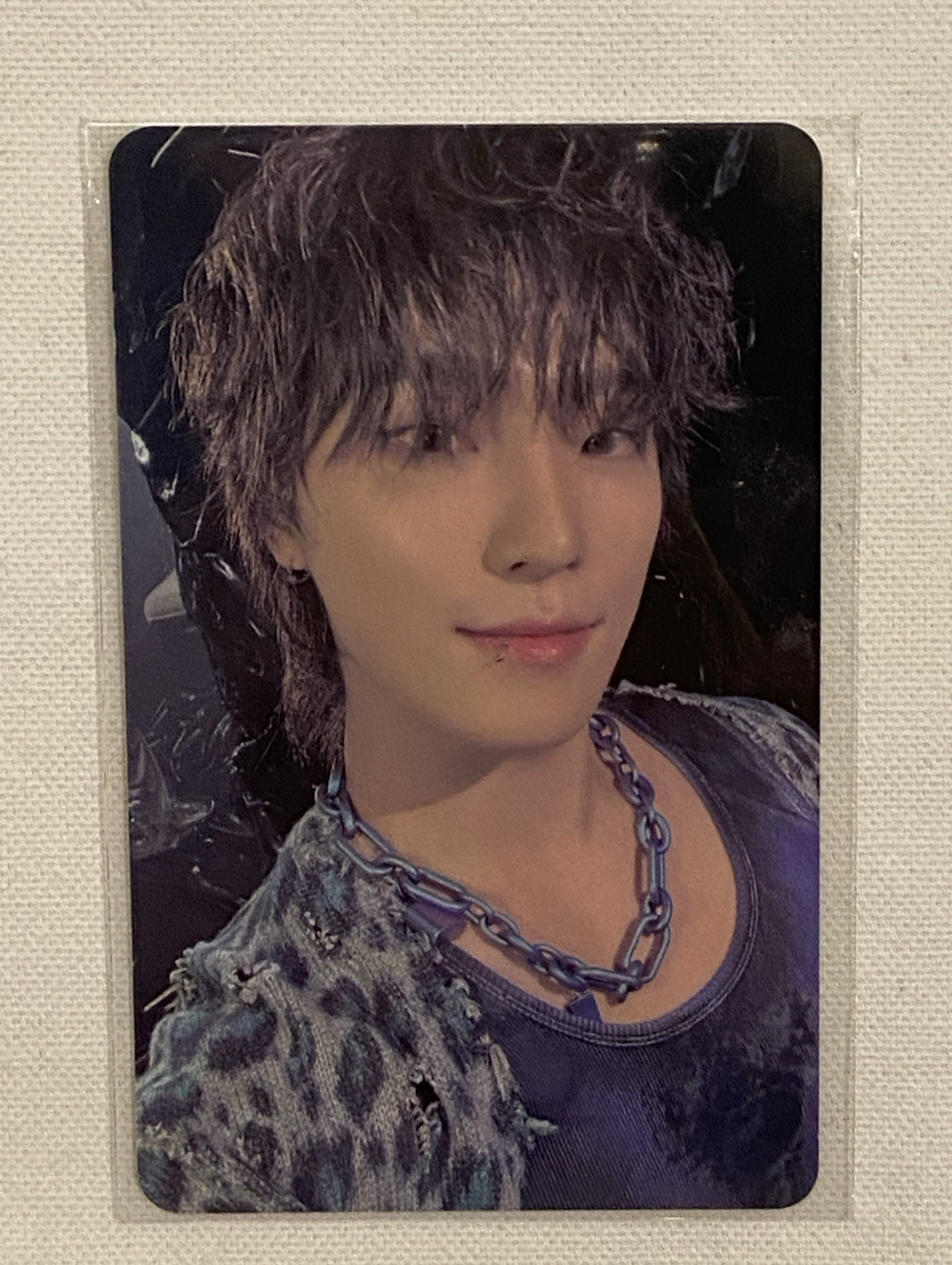 DINO 正五 WM 特典卡 