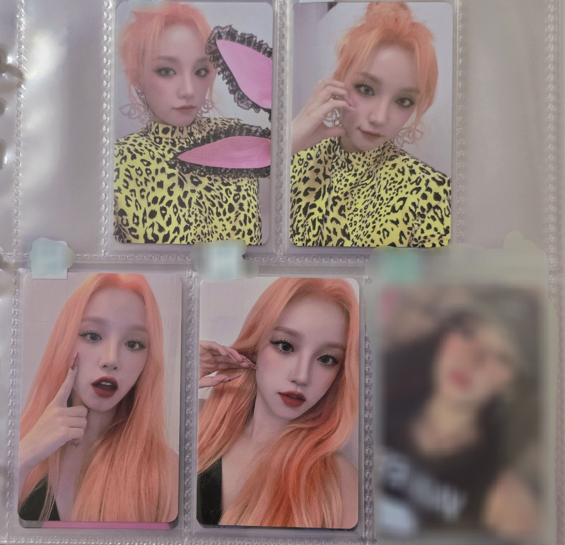 [當帶區] 迷五｜迷六｜迷七｜迷八｜世巡  女娃小卡