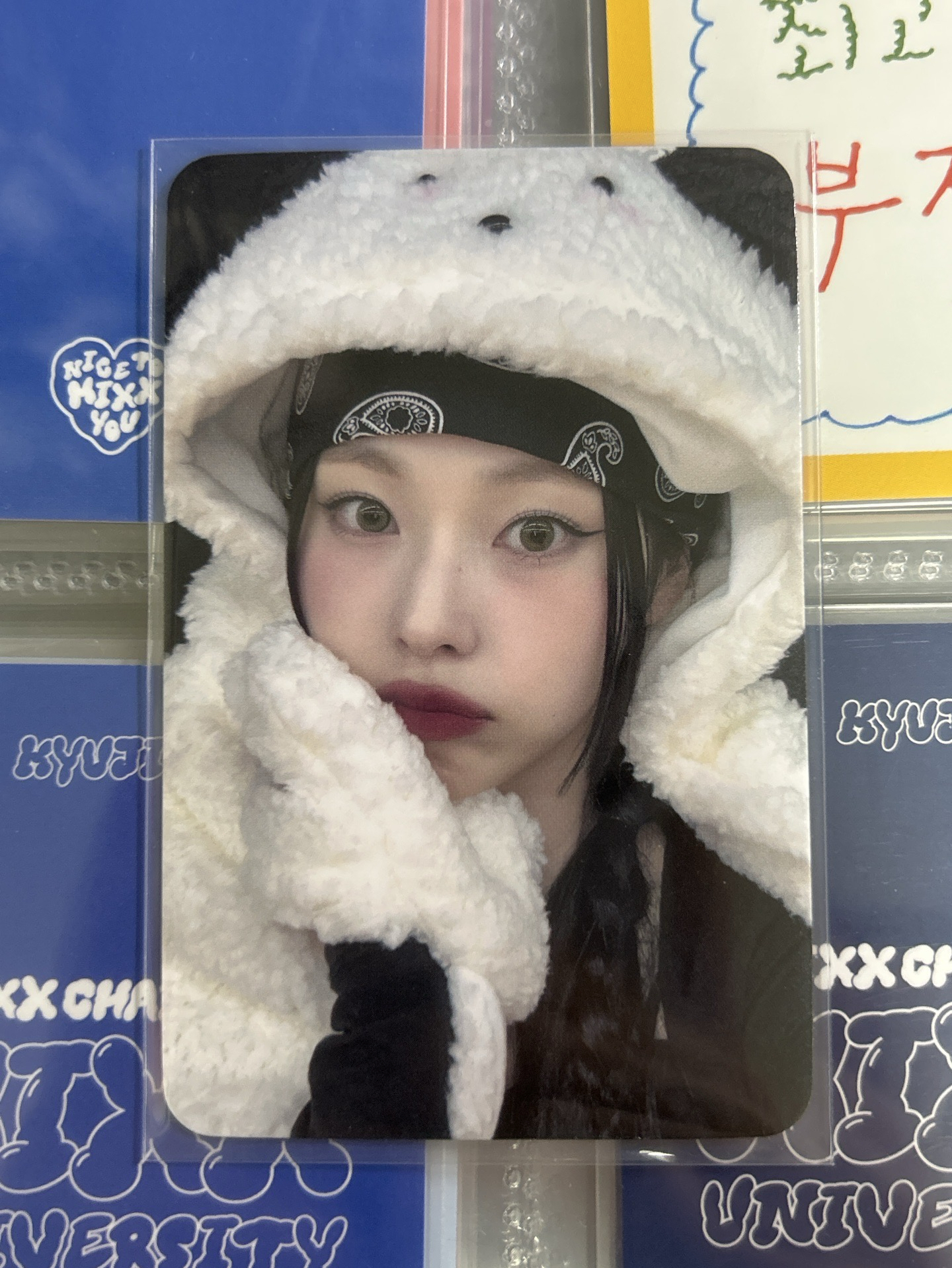 NMIXX sw小狗毛毯圭
