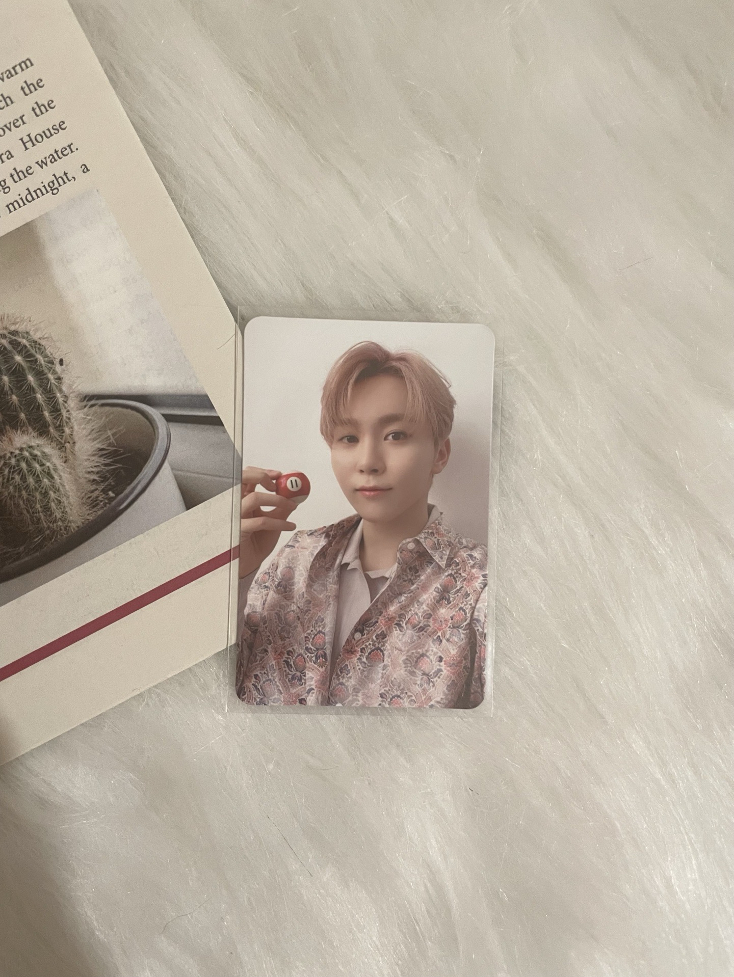 【SVT】mini8 專輯卡