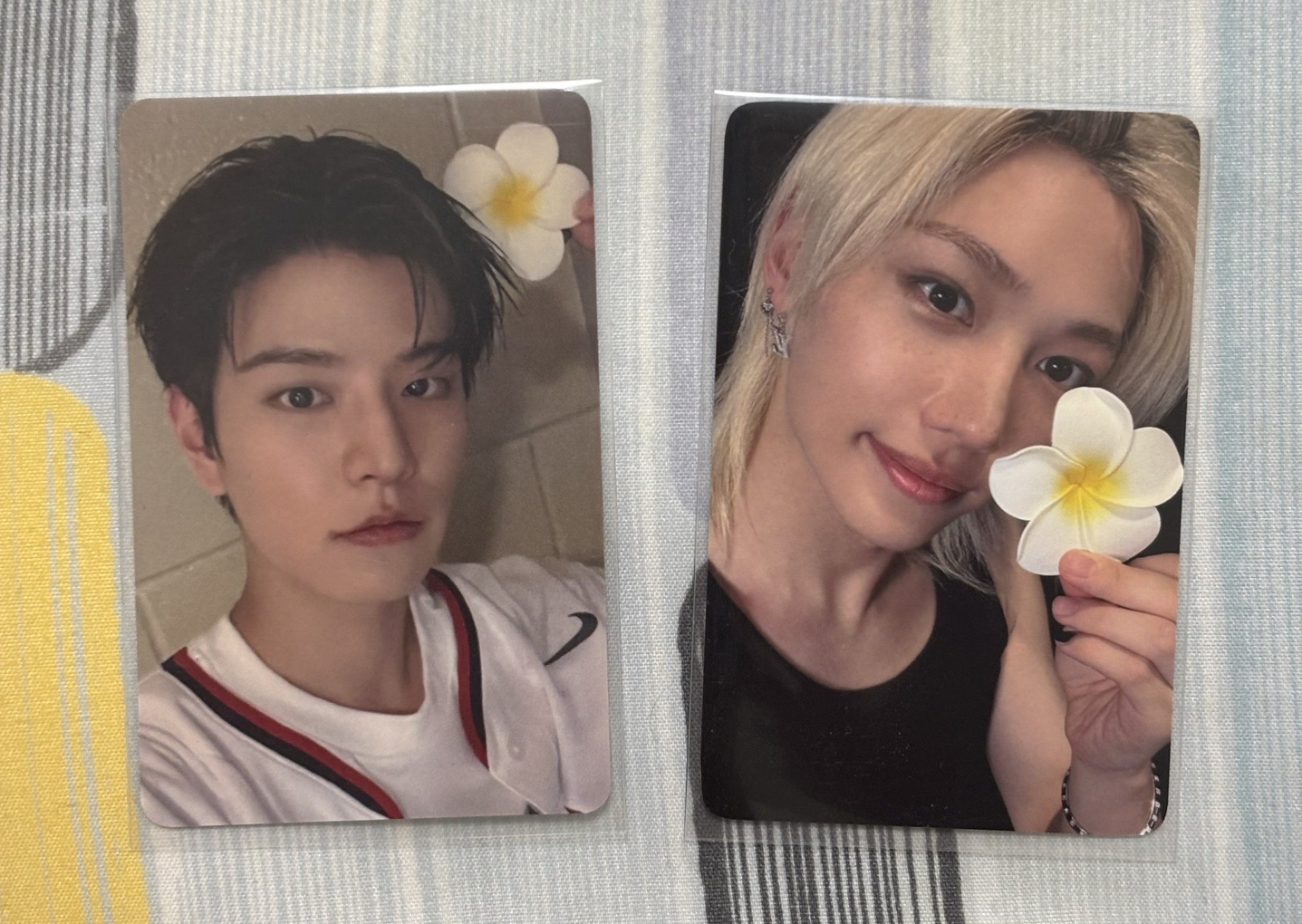 KARMA EL特典 菲玟