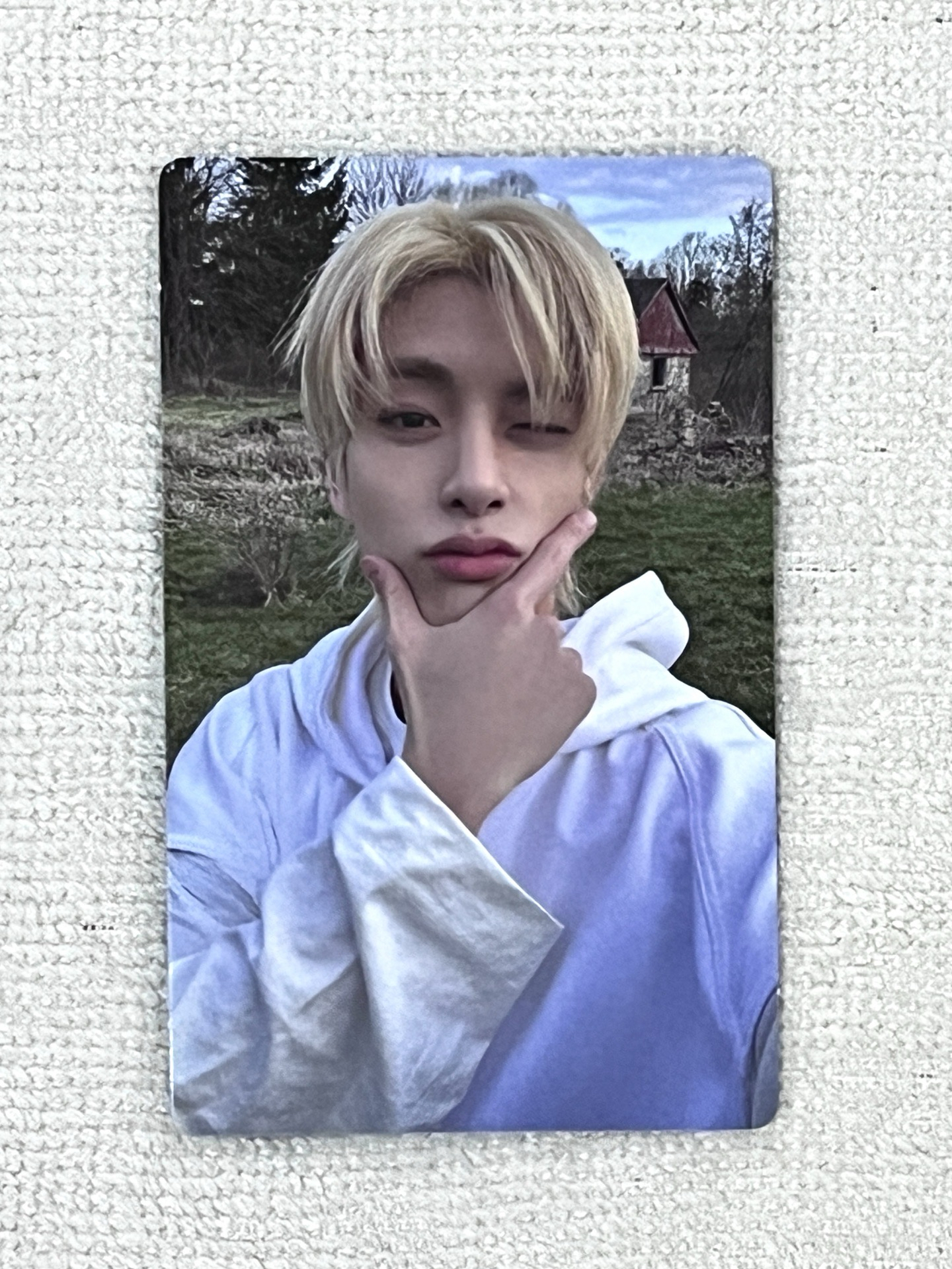 ENHYPEN沈載倫JAKE｜迷四dark blood電子專卡隨機卡engene版 草地倫