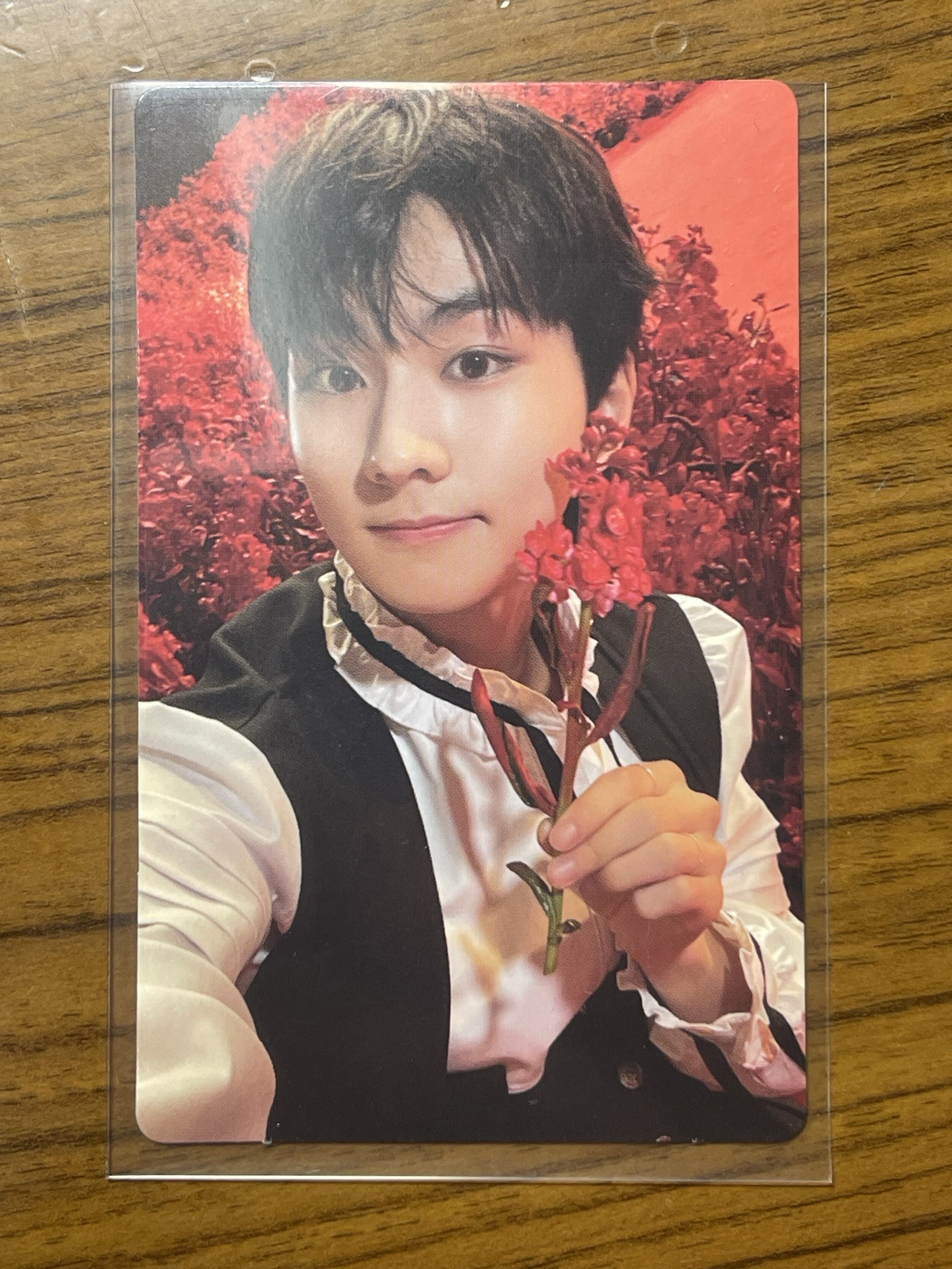 迷四 專輯卡 New版