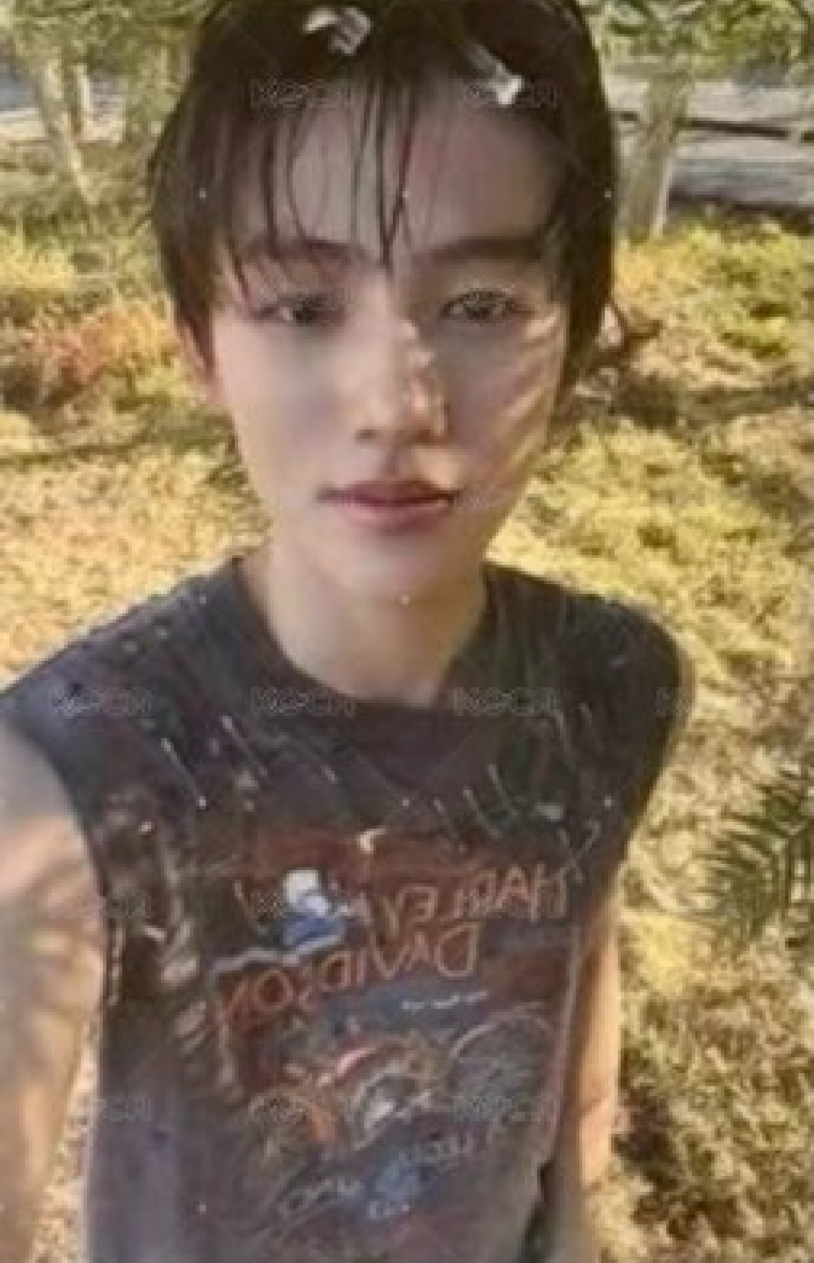 wvs1.0一套+mk1.0一套