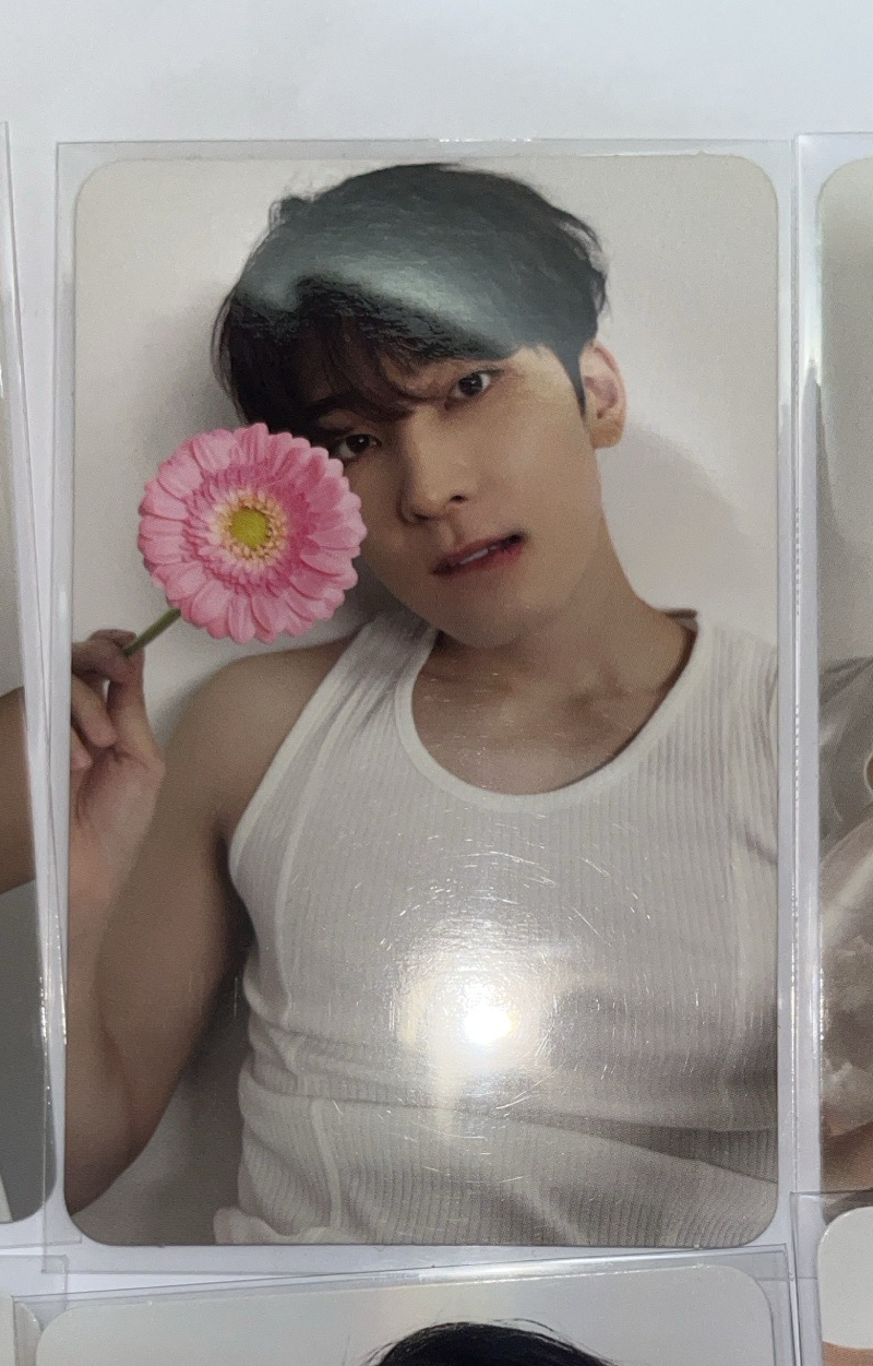 圓（請多帶1張）