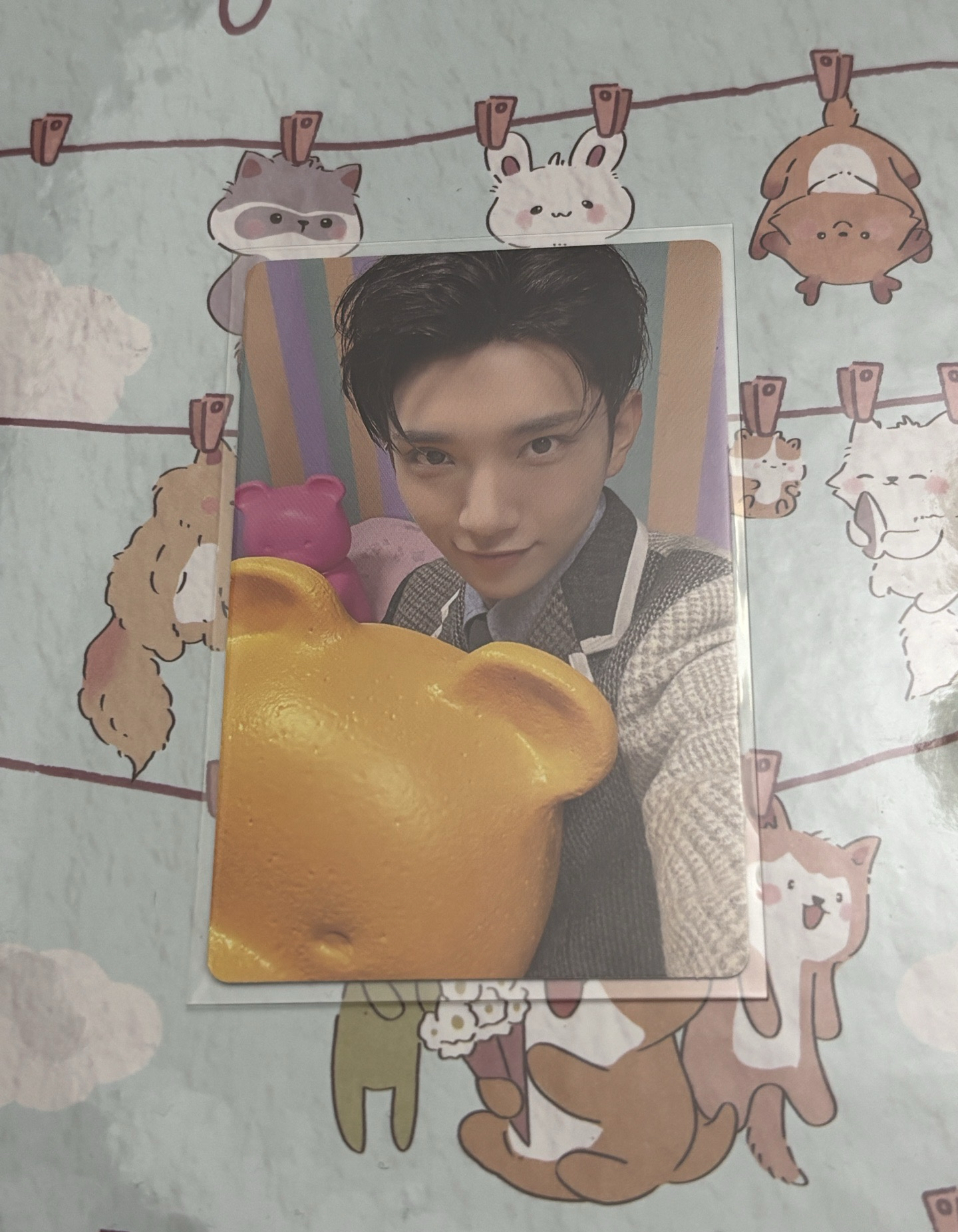 🤍精選專 專卡 固卡 Here ver. 秀