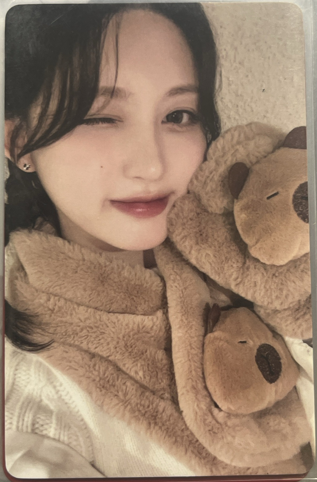 卡皮巴拉簽售卡