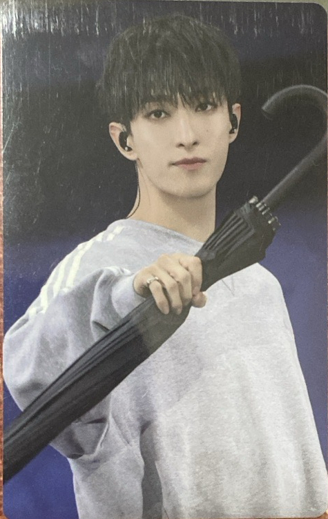 碩 2024caratland WVS特典卡