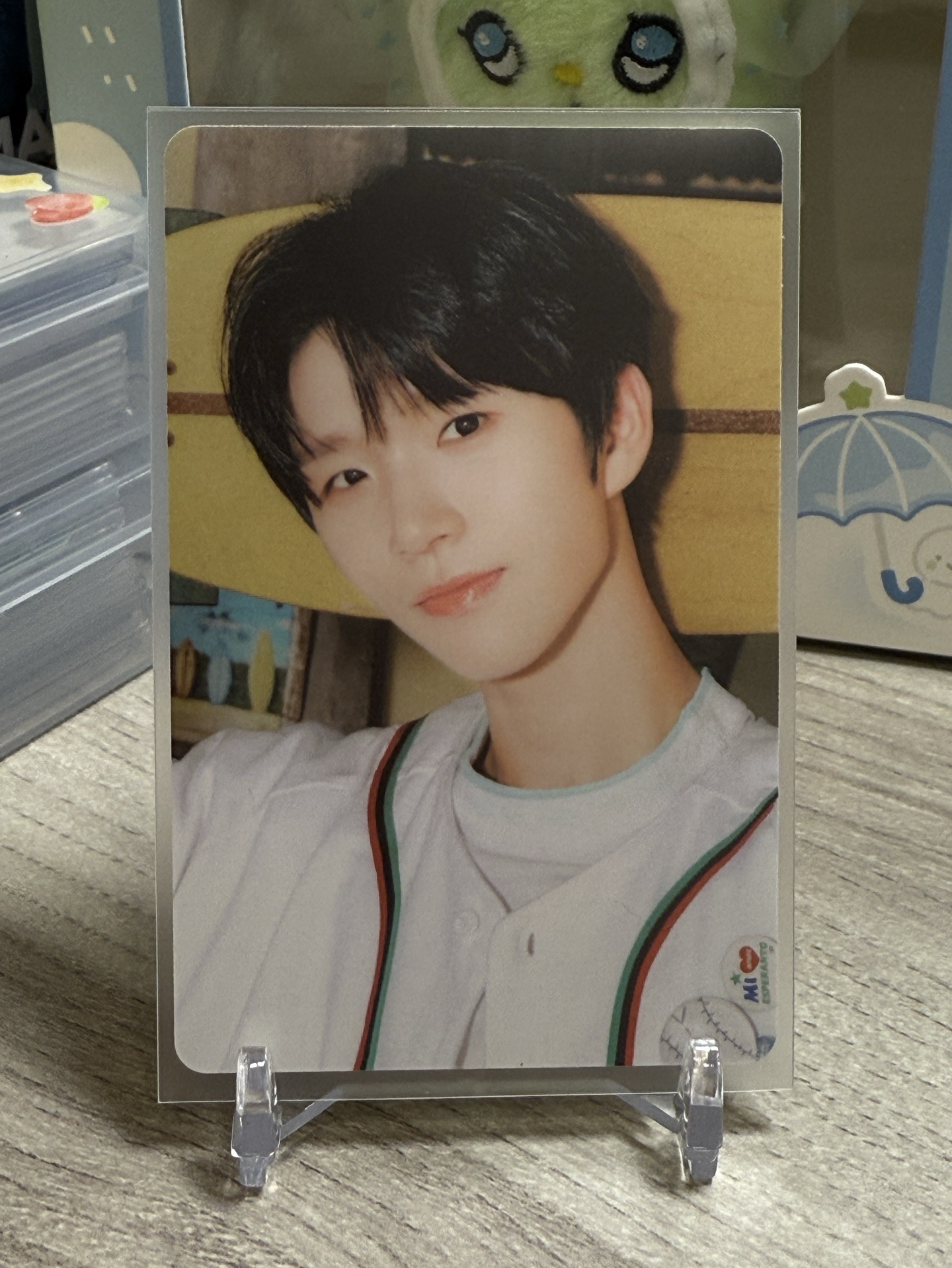 Color快閃隨機卡 Surf版 官拍樹🌳