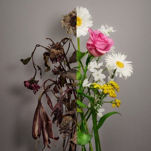 第五張個人迷你專輯《Unfading Sense》