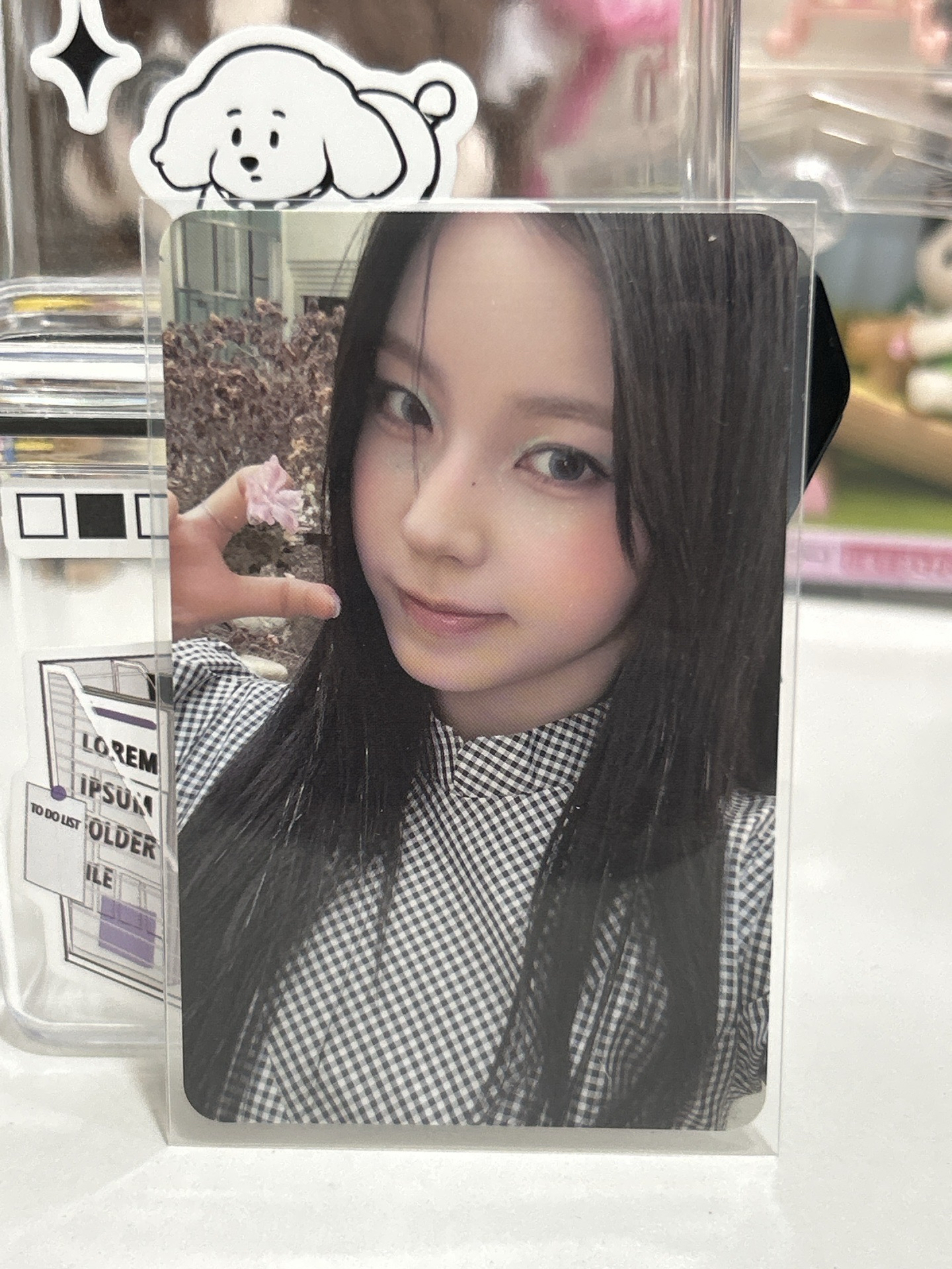 NMIXX Kyujin專卡
