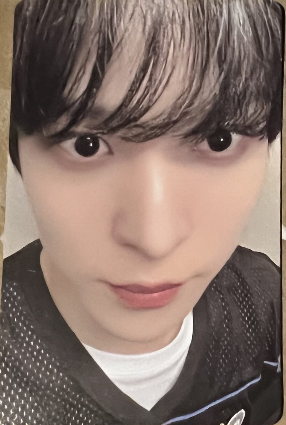 第二週卡包-大臉潤