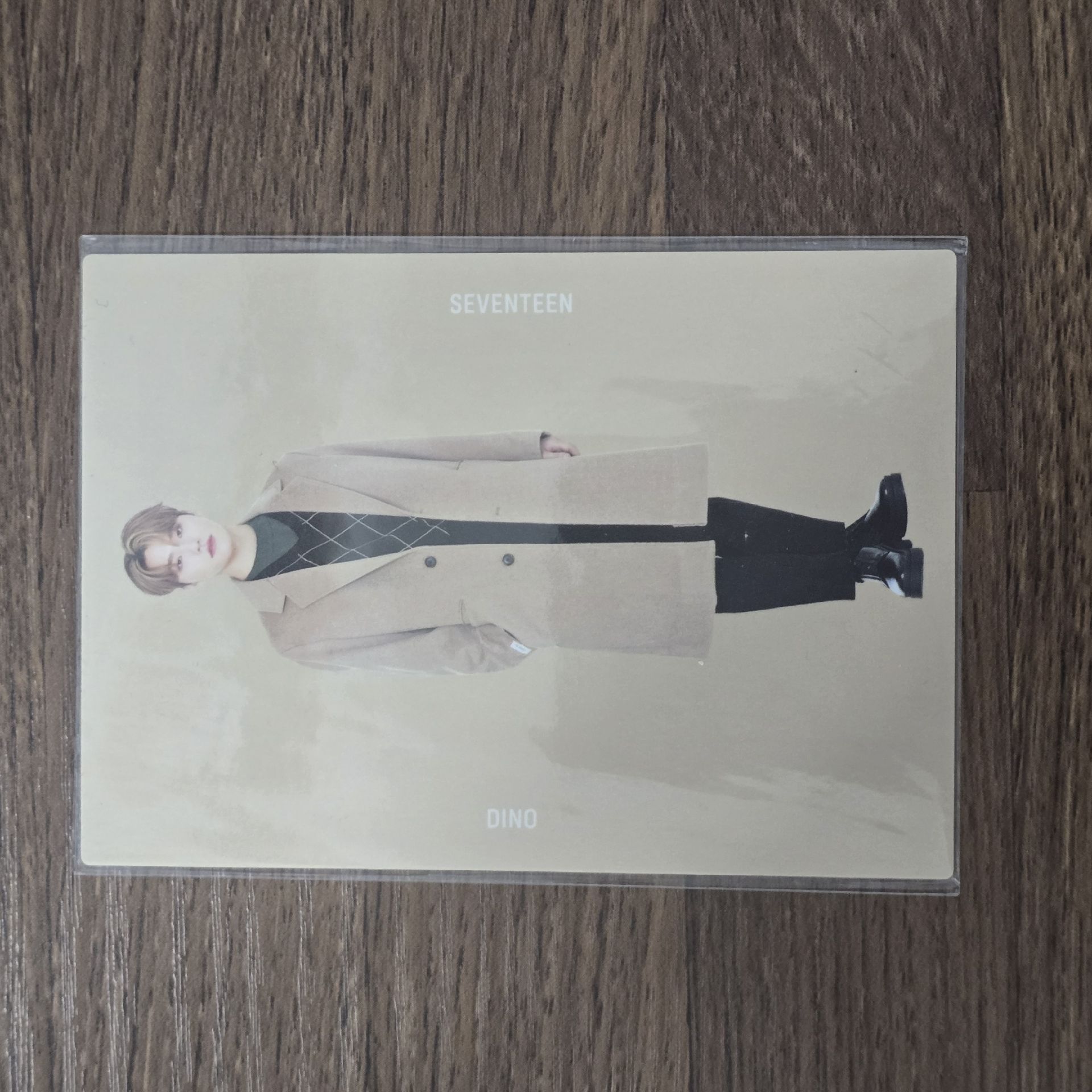 SEVENTEEN Dino 2020 WINTER 日本 卡包卡
