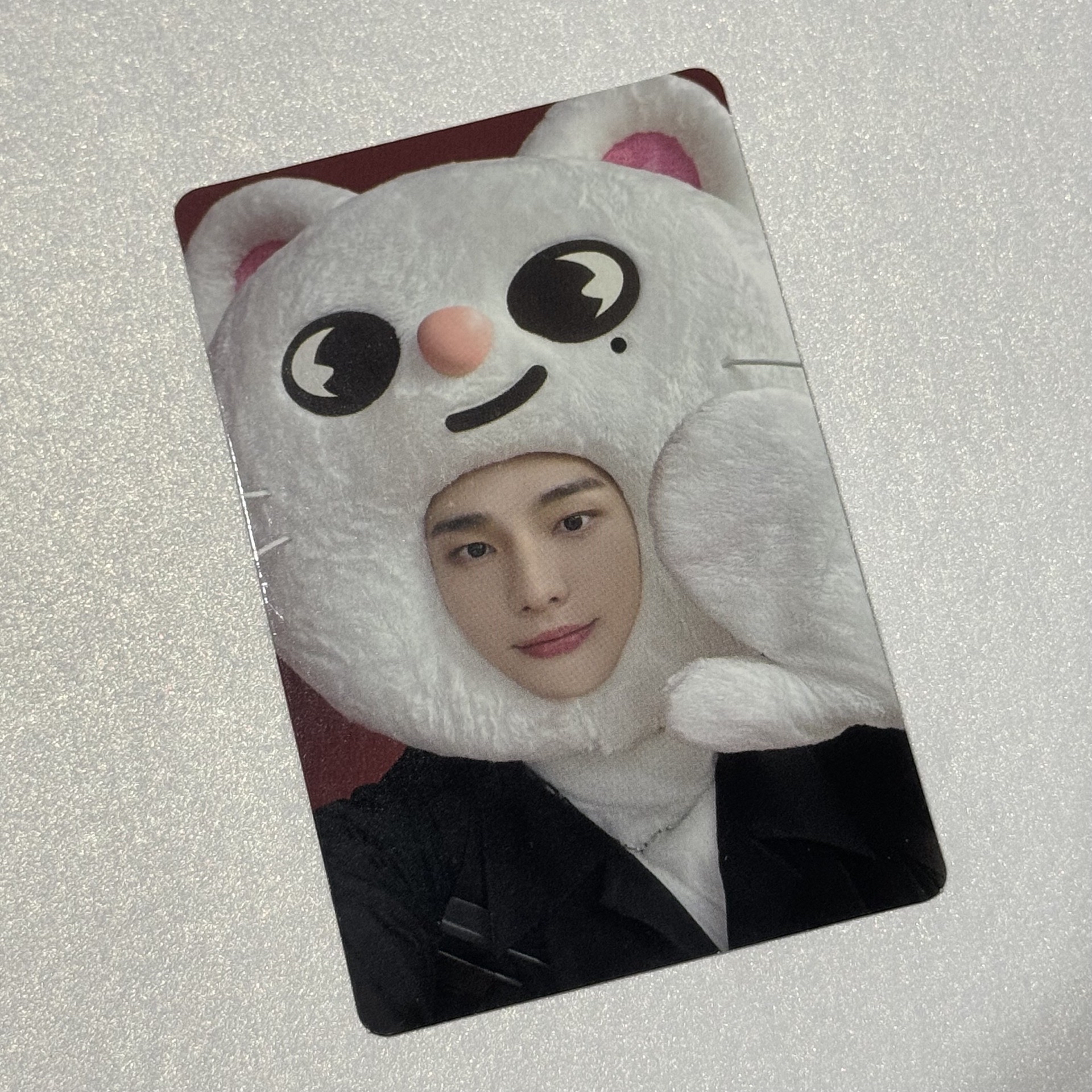 MAXIDENT JYP大頭辰