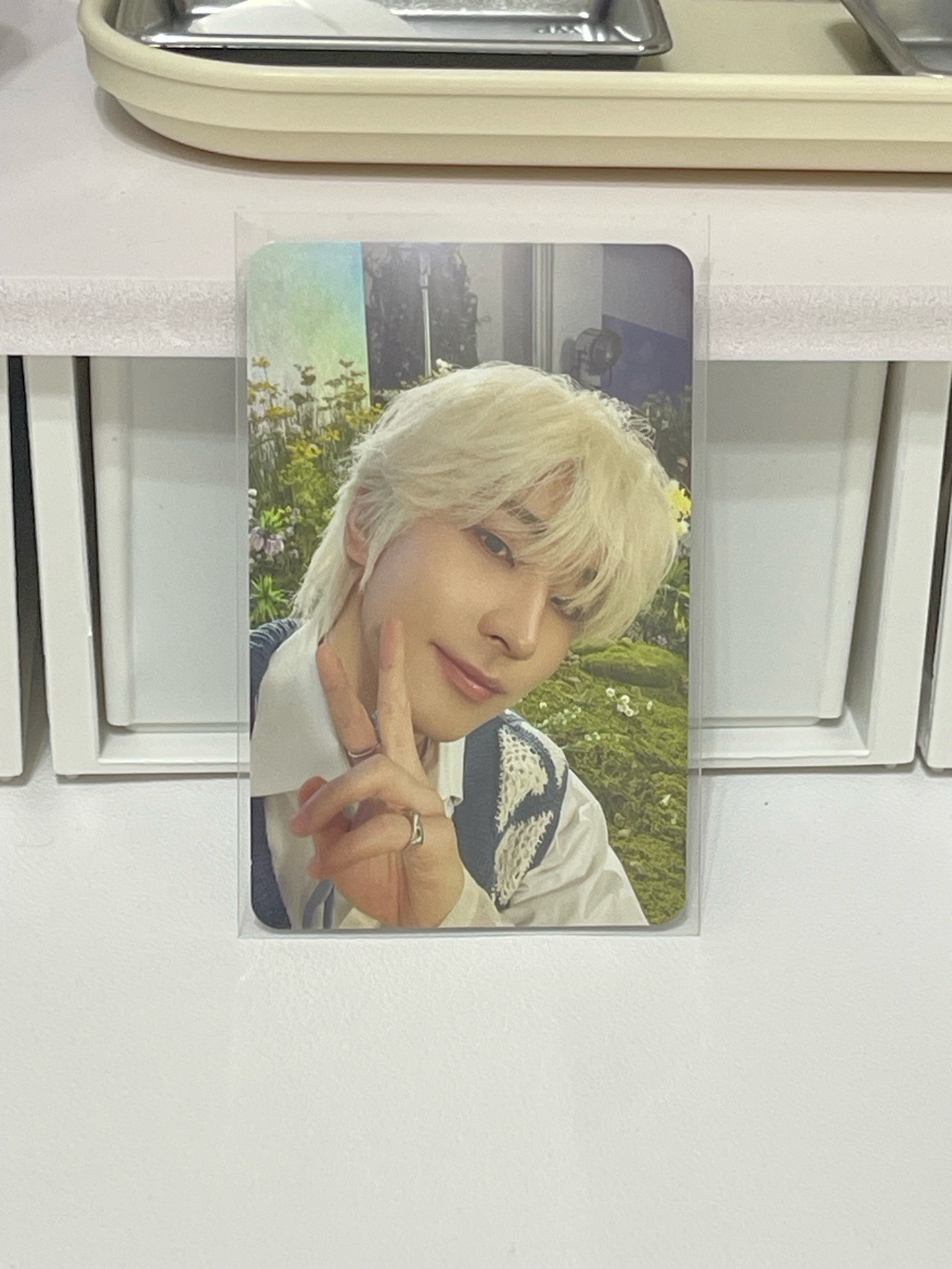 圓佑thisman pb版專卡