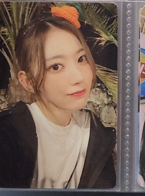 DAY OFF濟州島櫻花