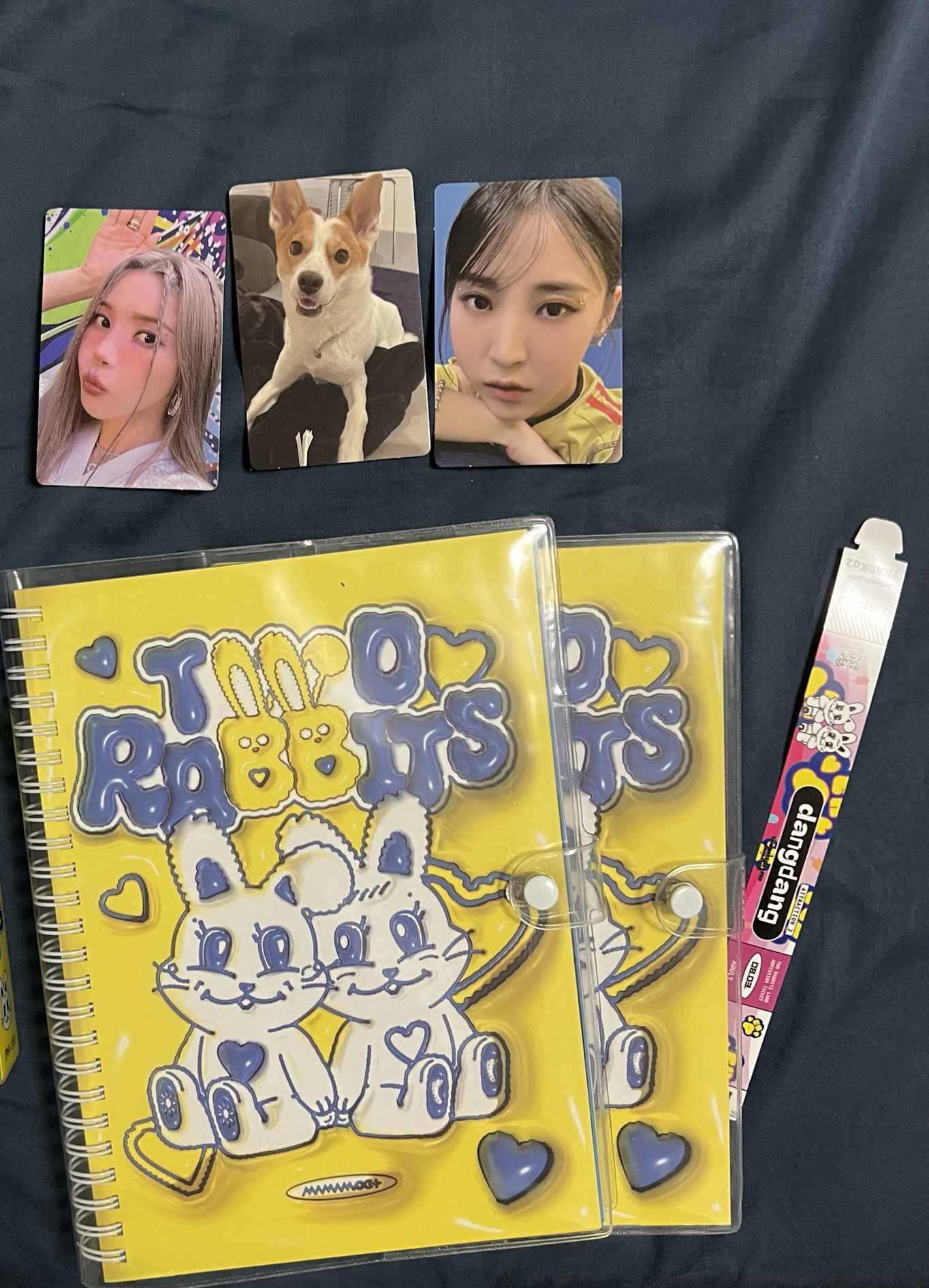 Mamamoo+ 媽媽木 Two Rabbits PB 全專 已拆