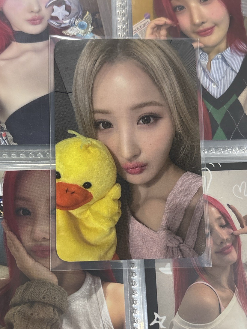 Belle elld日本線下特典卡