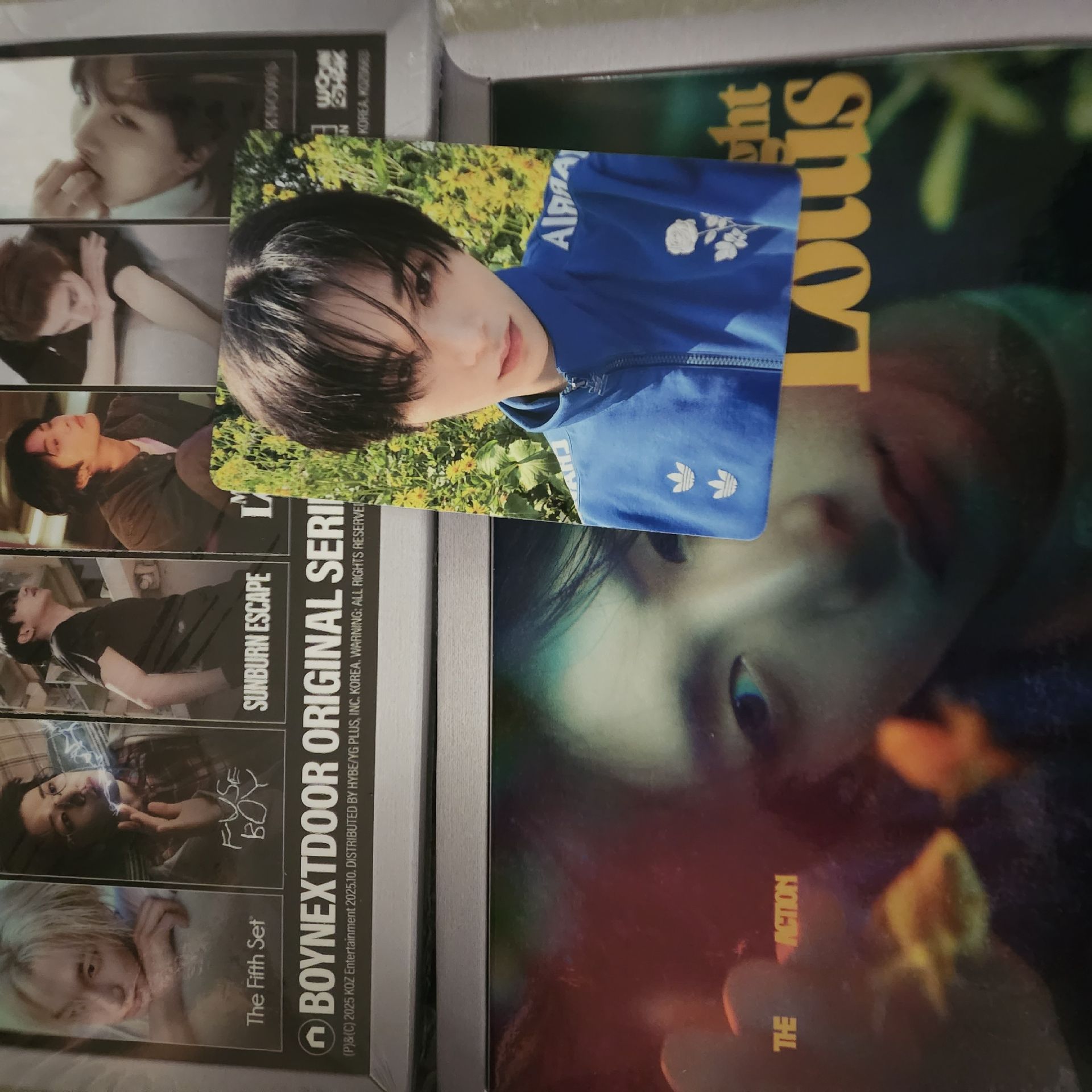 The action 4單封全專