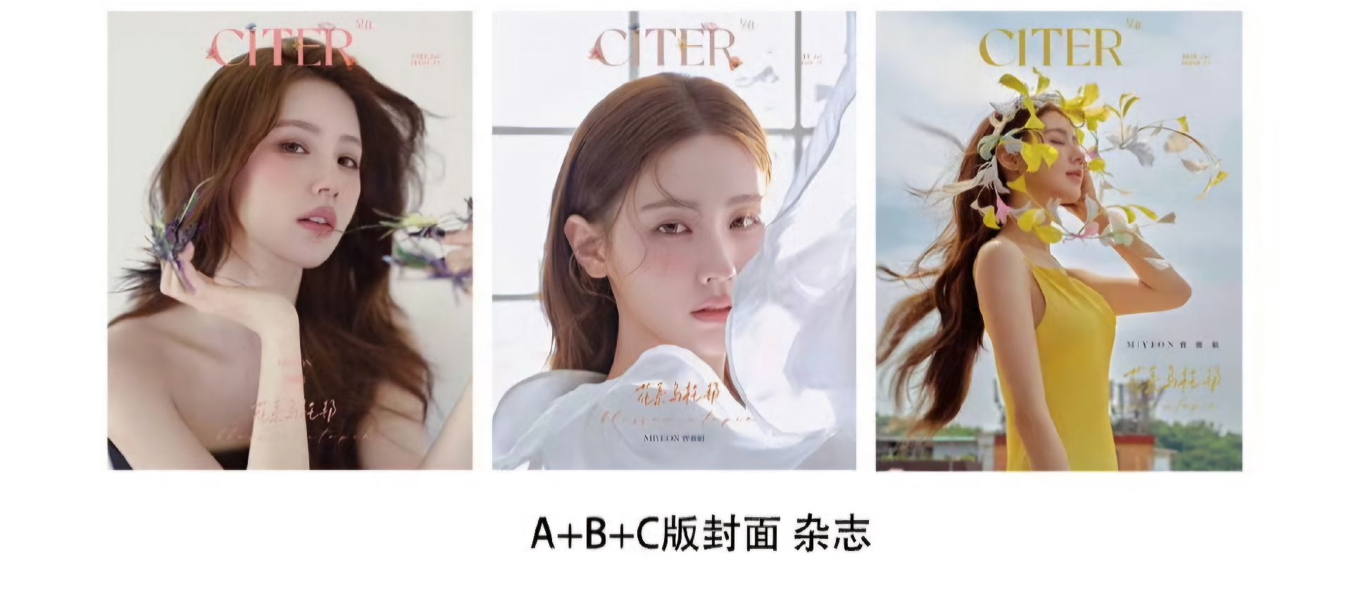 麵烏托邦雜誌