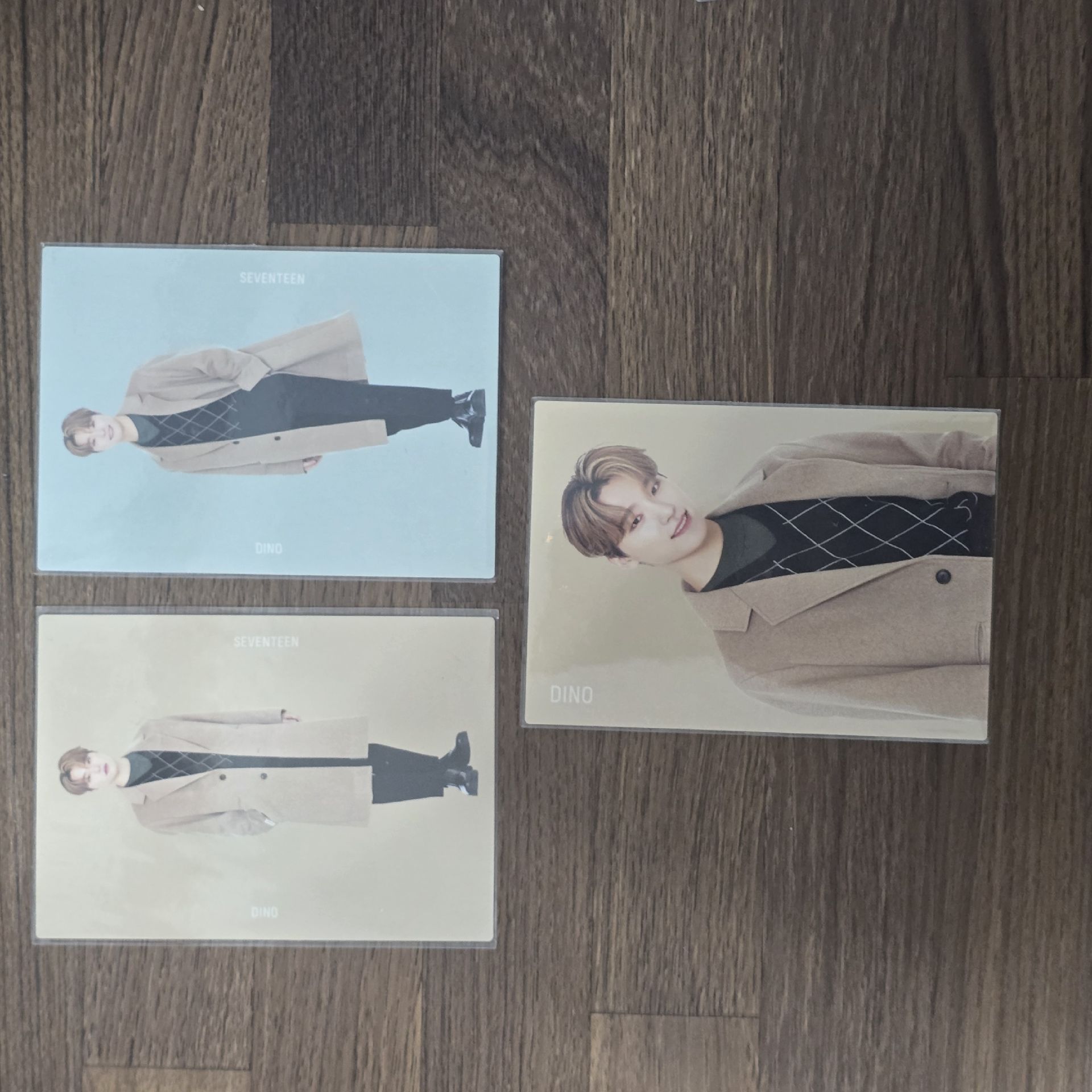 SEVENTEEN Dino 2020 WINTER 日本 卡包卡