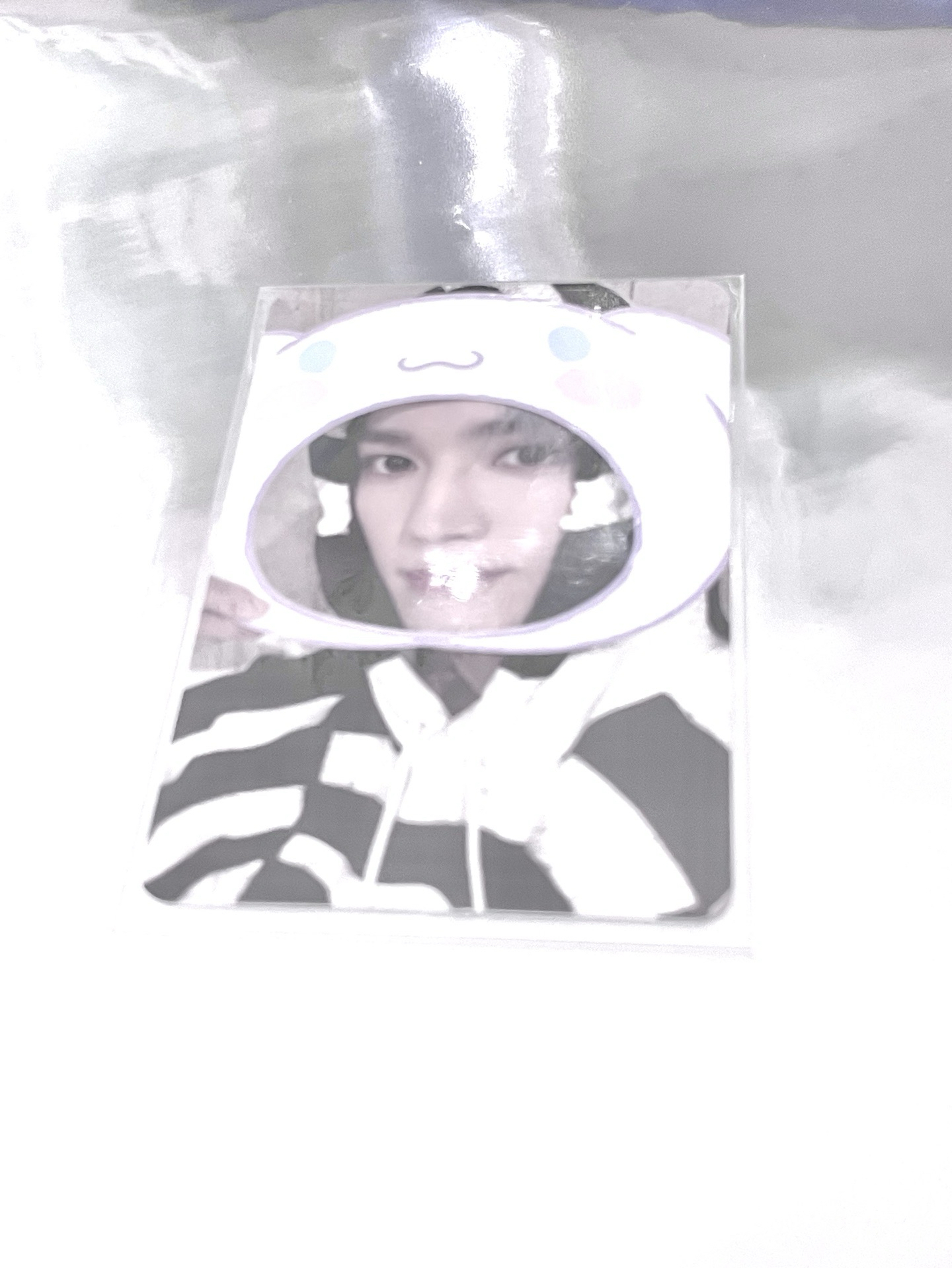 💖三麗鷗系列-泰容