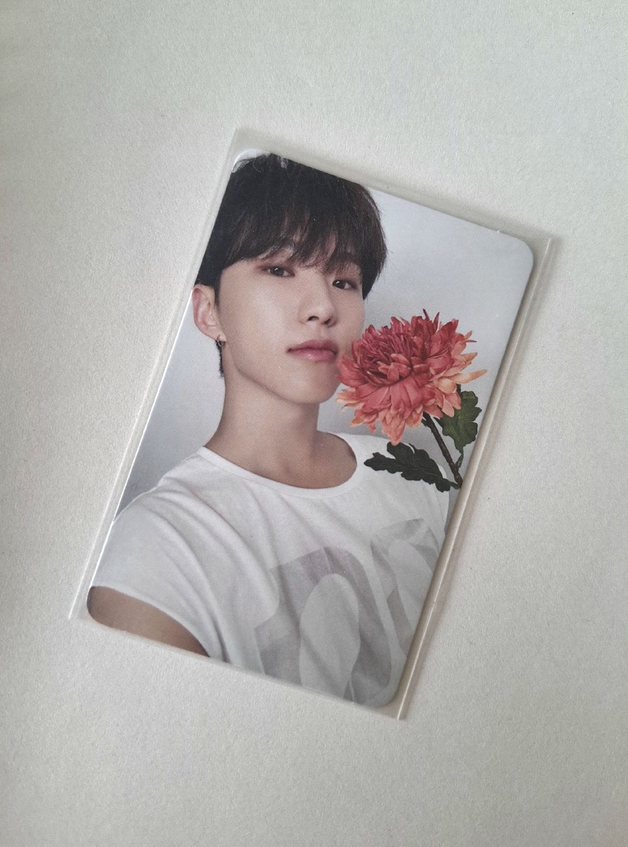 精選專克拉盤榮