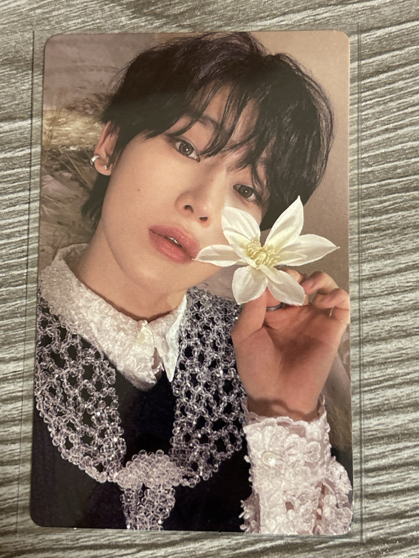 迷五銀版拿花禹