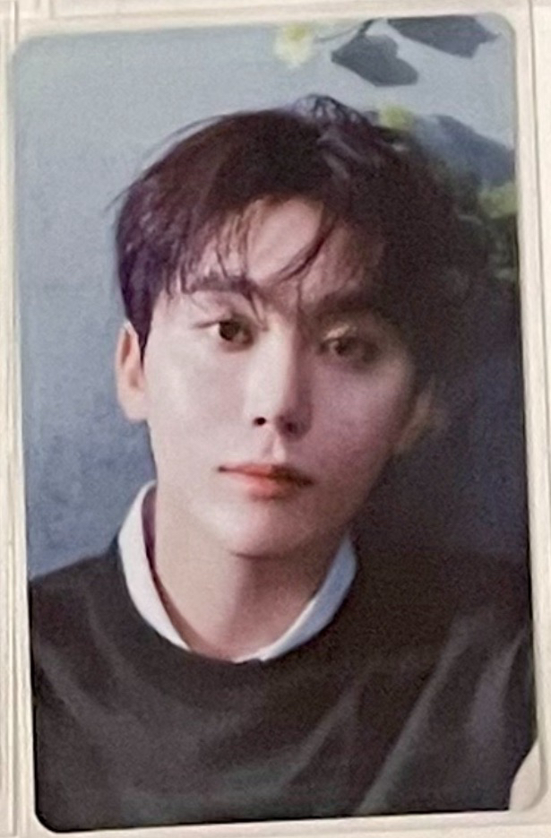 消費期限 B盤 寛（官拍）