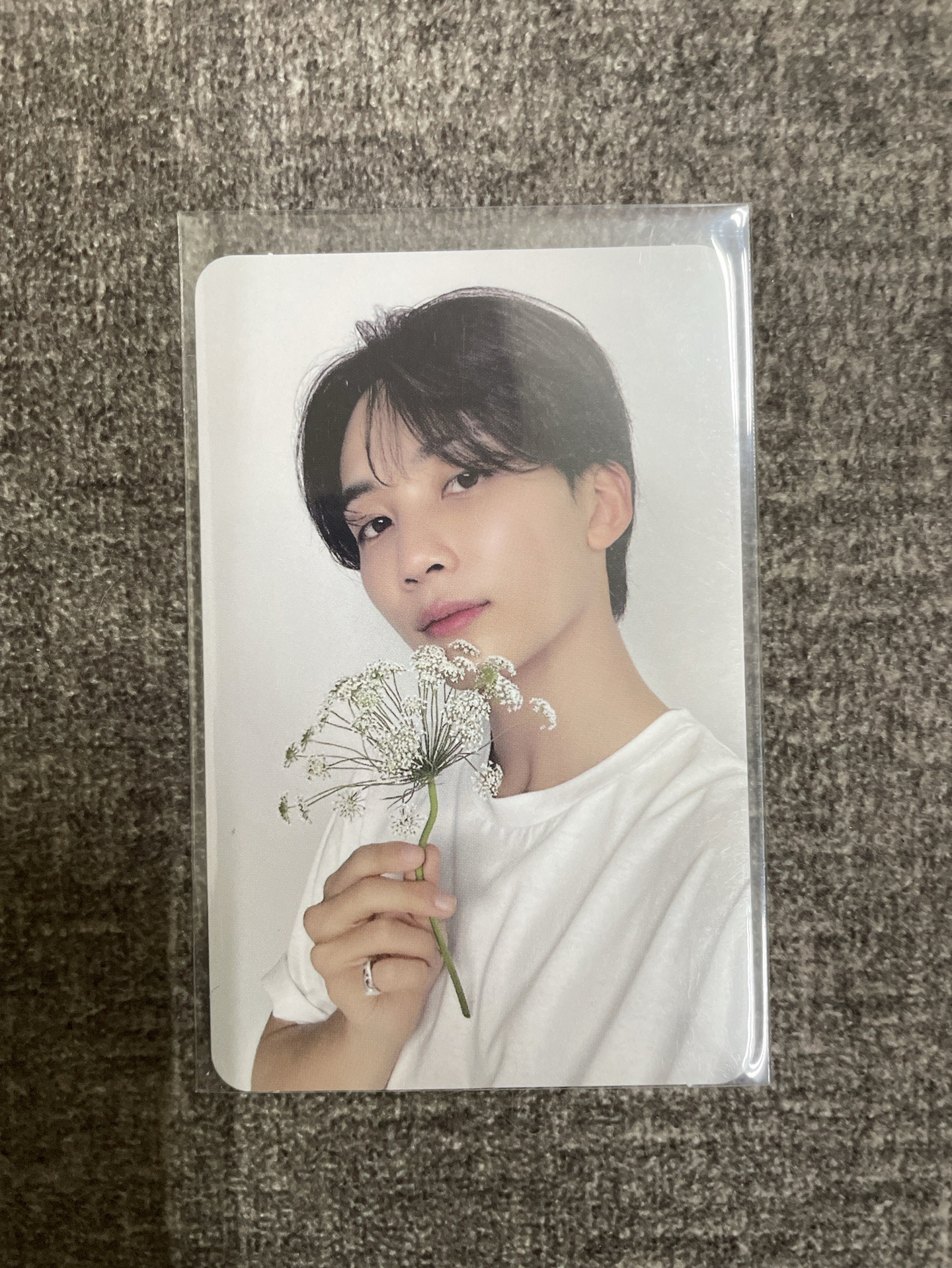 親愛盤 漢拿花漢