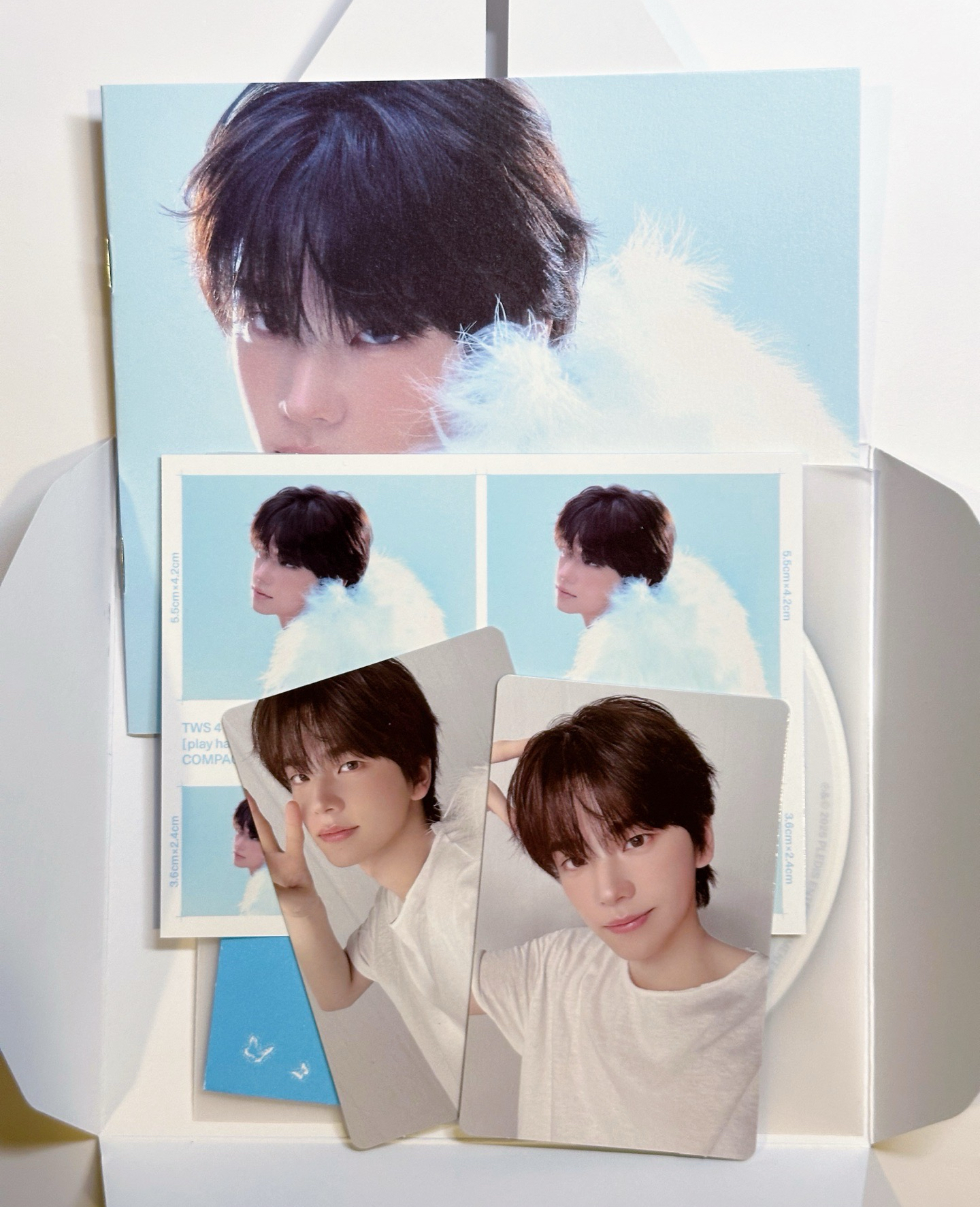 TWS 迷四 單封全專湊套 - 申惟