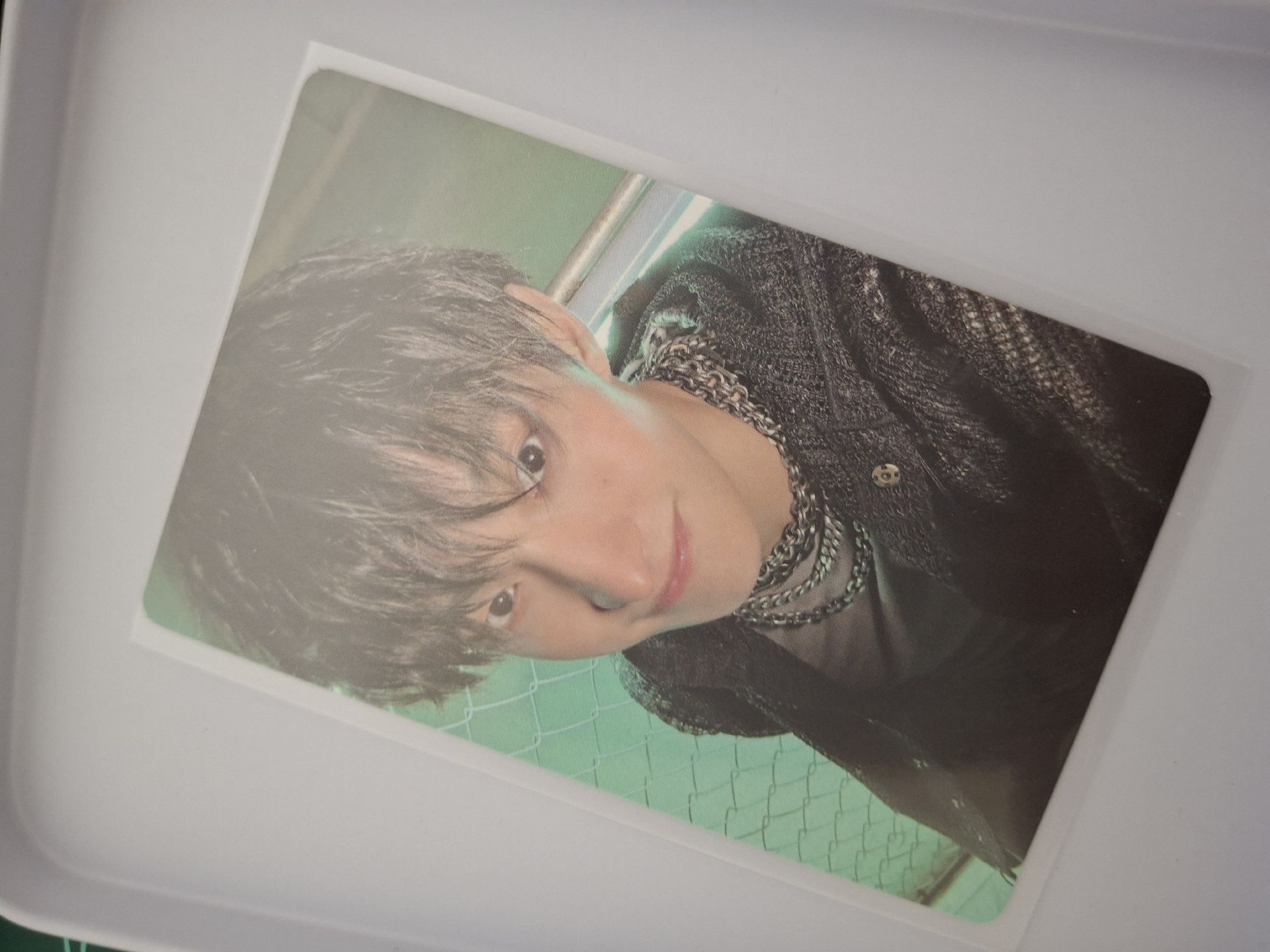 正五 wvs特典 碩