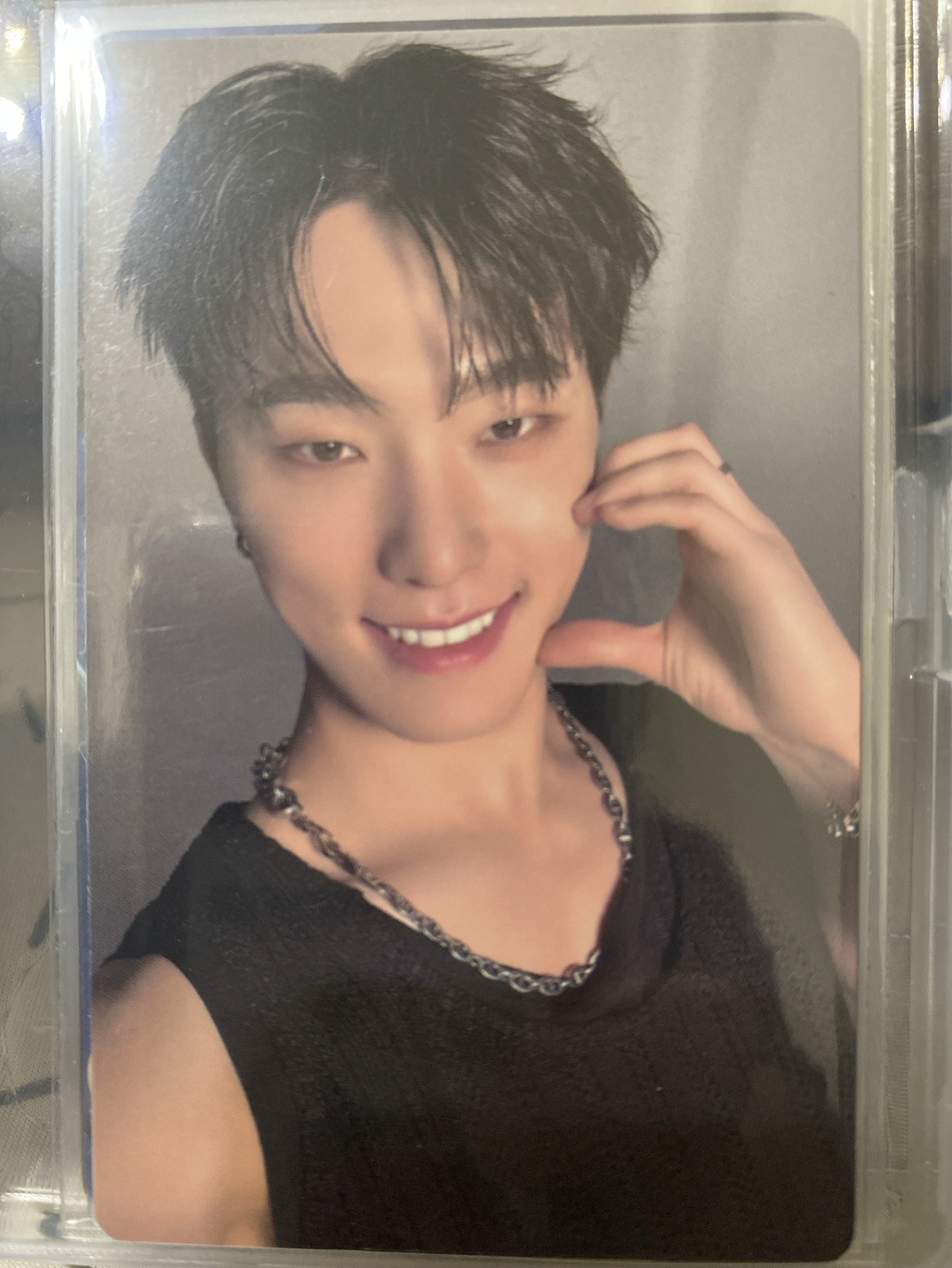 mini12特典 DINO 無明信片