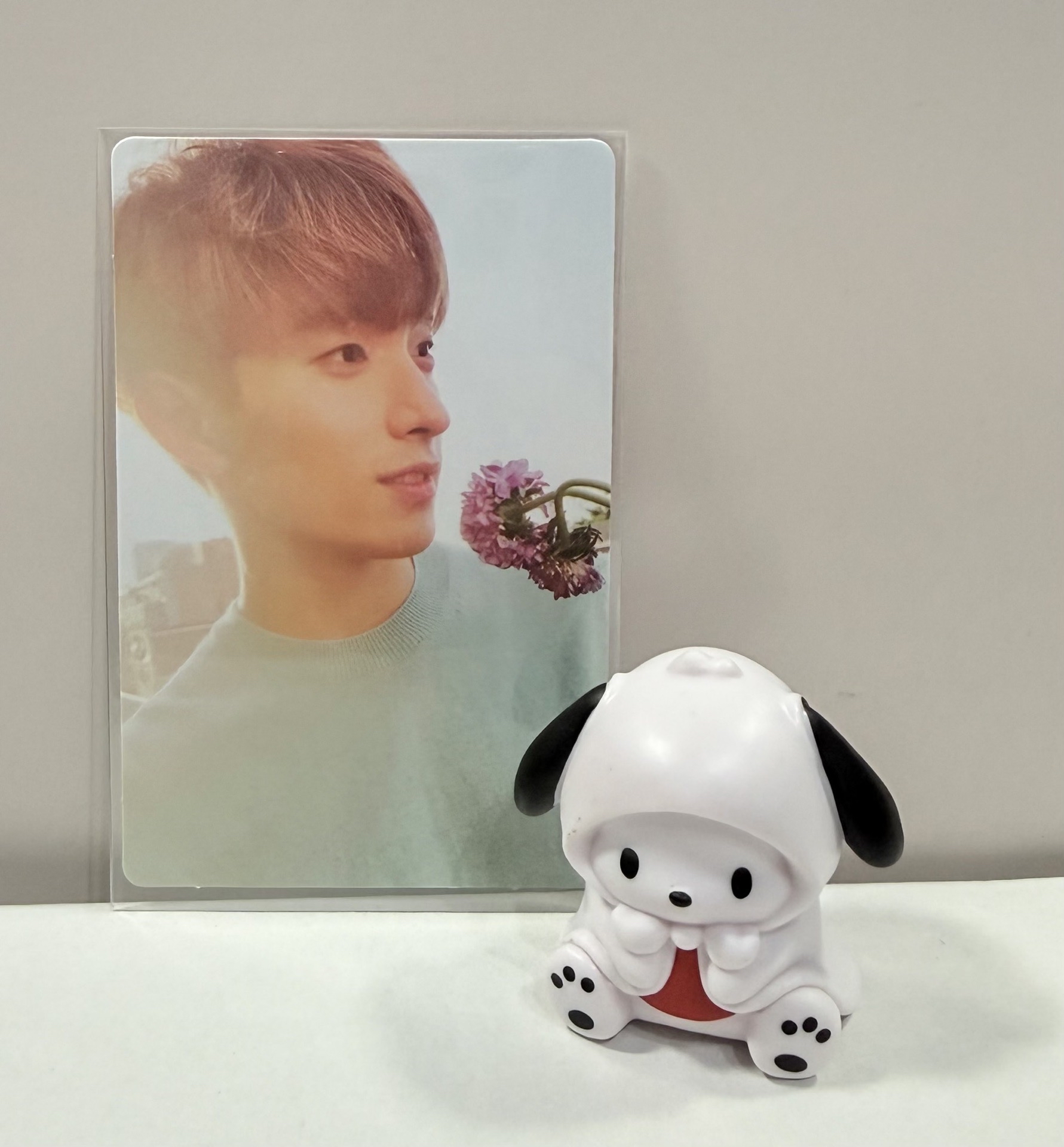 正二 專輯卡 白版 碩 DK