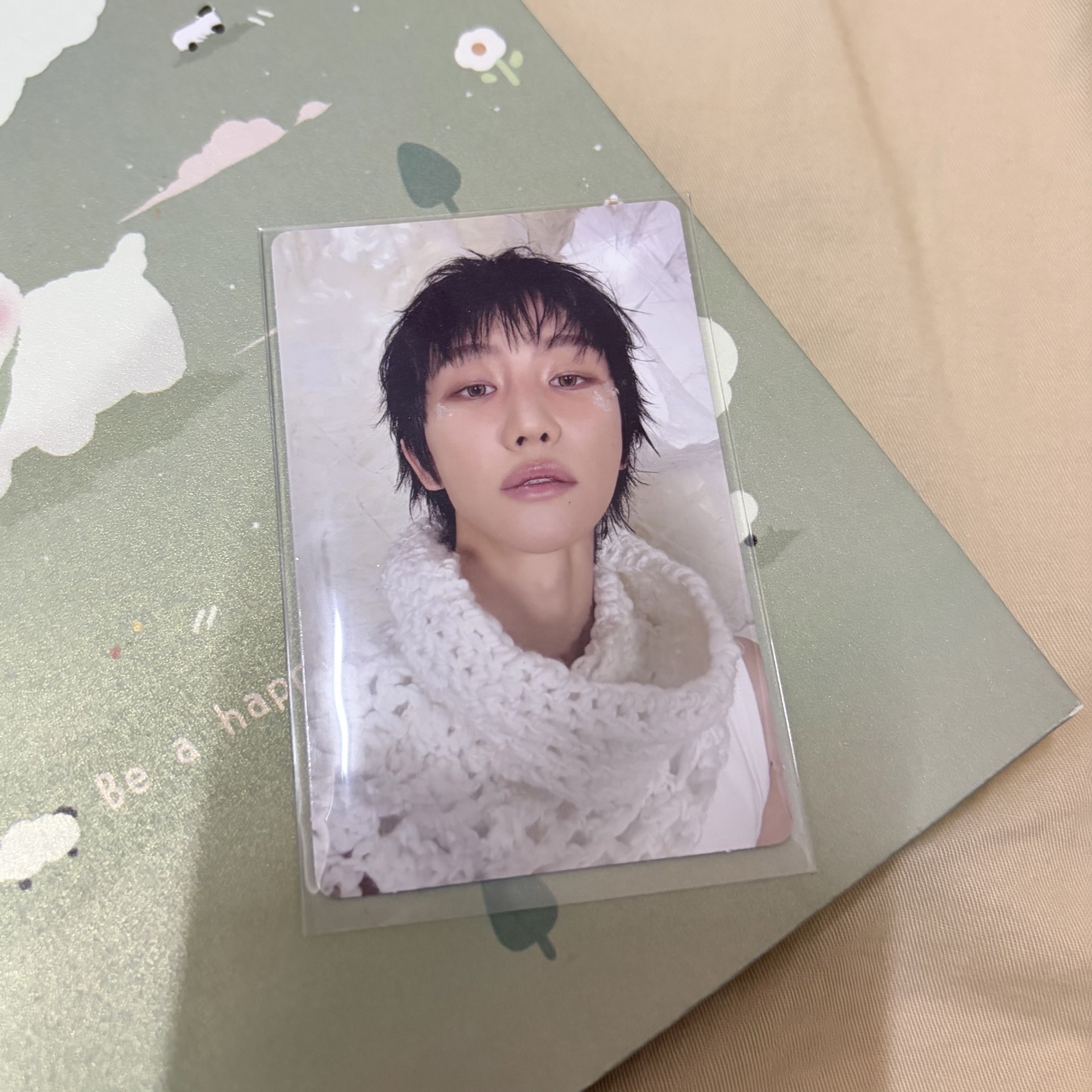 ⭐️The8 正五 專輯卡