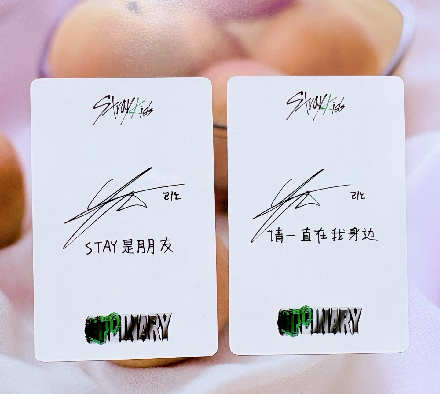 odd 一直娛旻 中文卡背