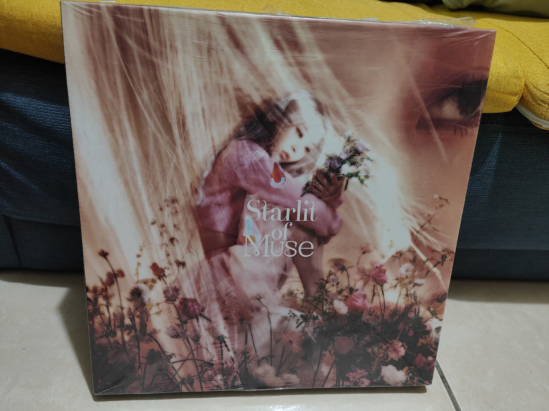 限定專 全專已拆