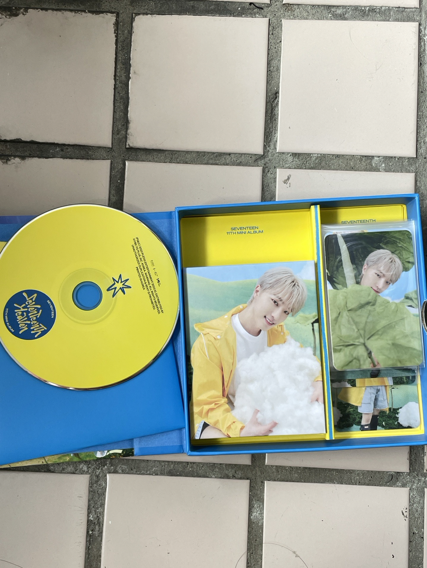 Seventeen Dino mini11 克拉盤