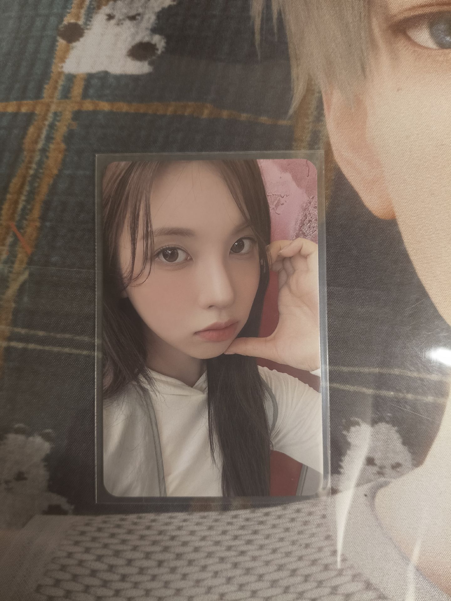 貝6