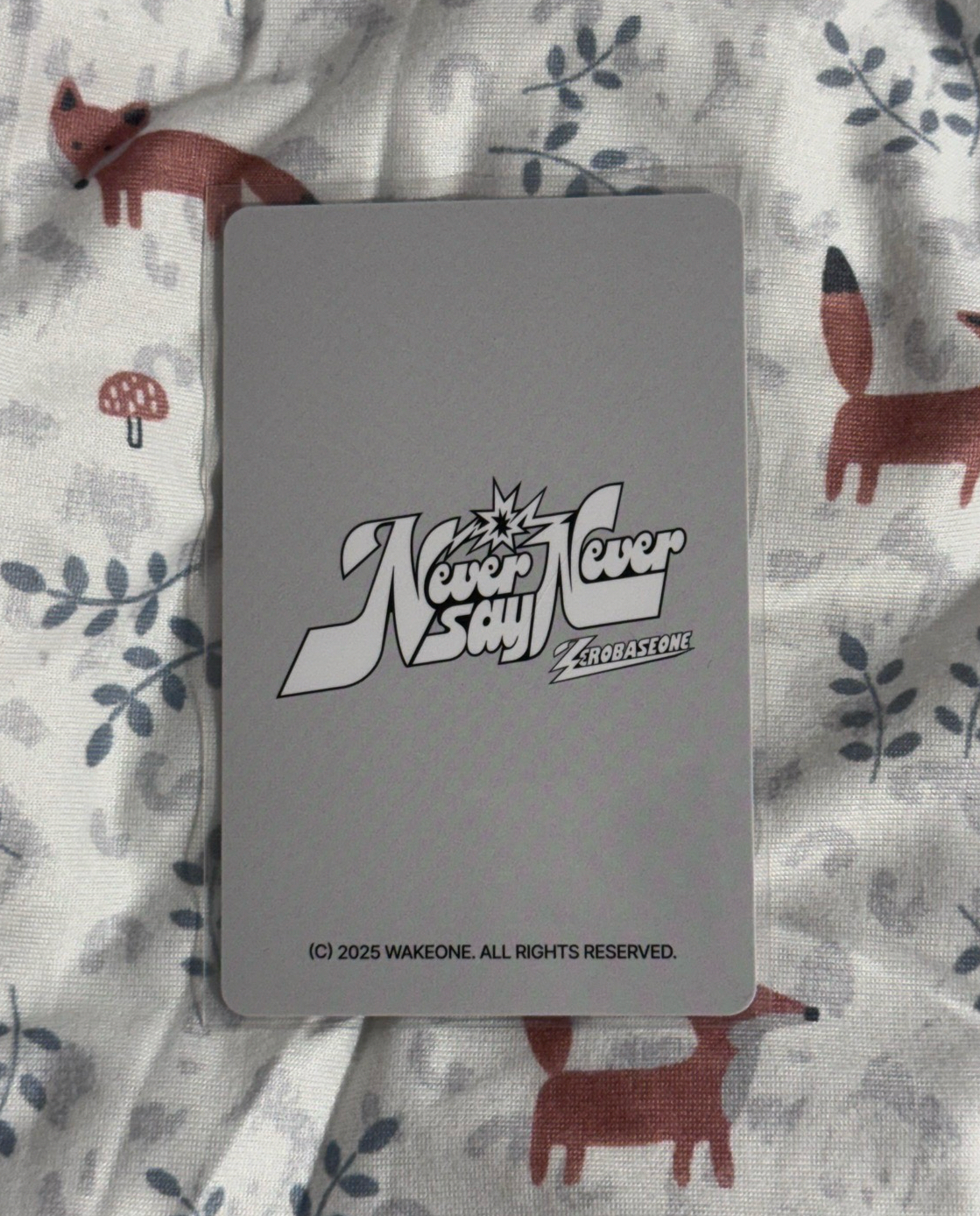 MD滿額可愛小奎