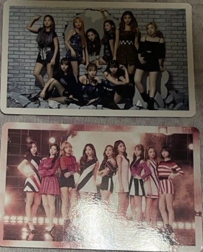 多寶寶娃（贈團卡2張）