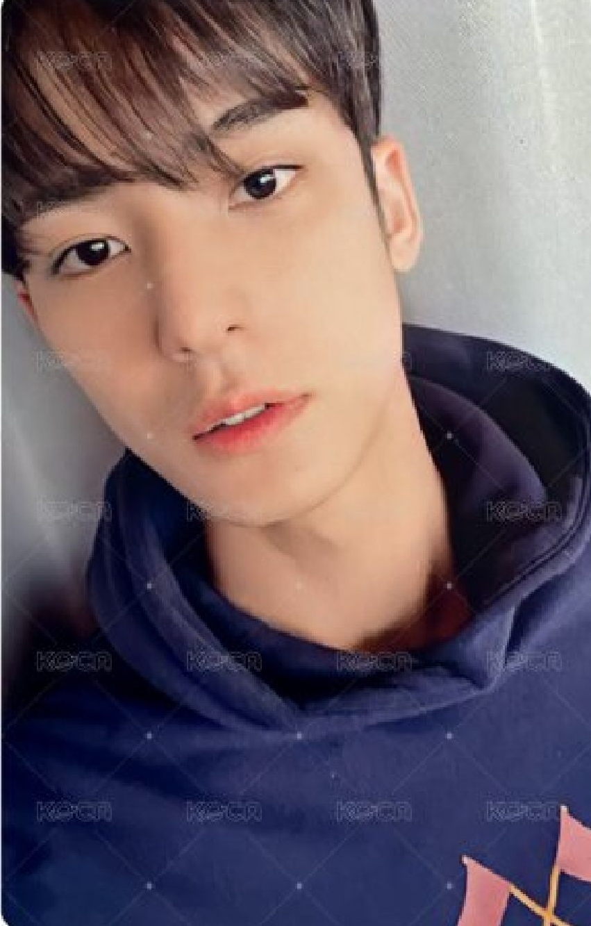 MINI9 yzyH 中文卡背❤️（250）
