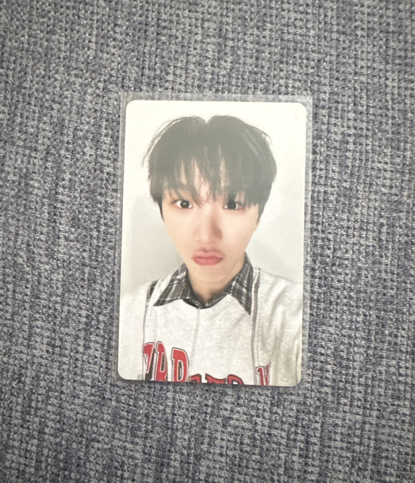 💗Knock On 巡迴 周邊卡 外套卡 6