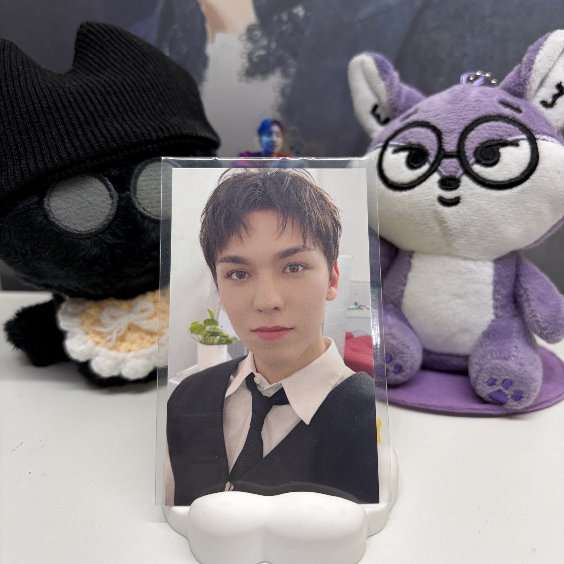 🐻‍❄️瀚率VERNON｜精選專｜環球｜特典卡 