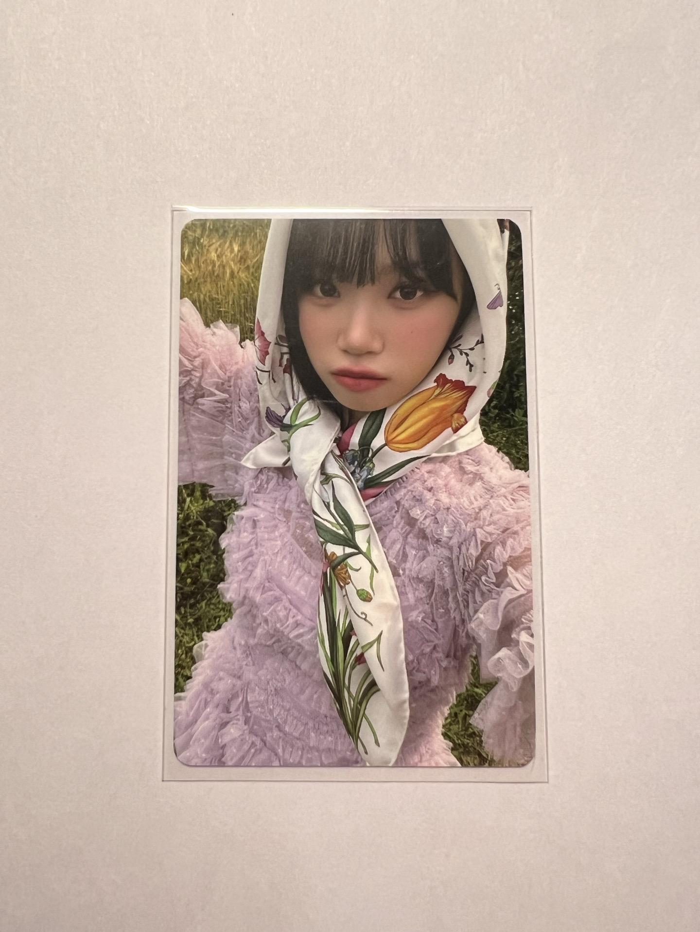 DICON 雜誌卡A 頭巾采