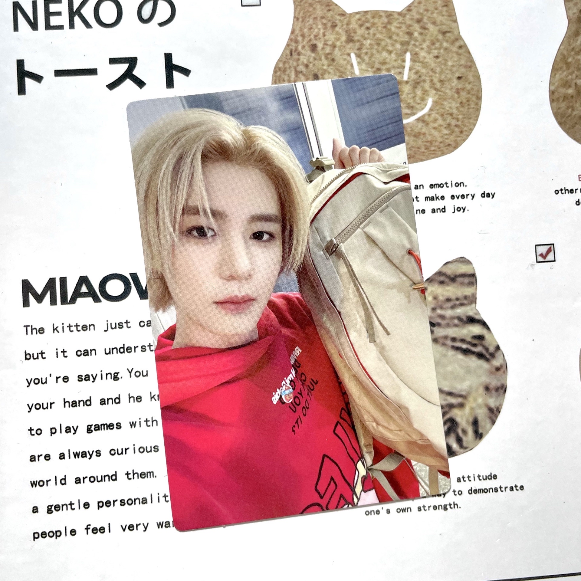 金桐儇 仁川自拍卡