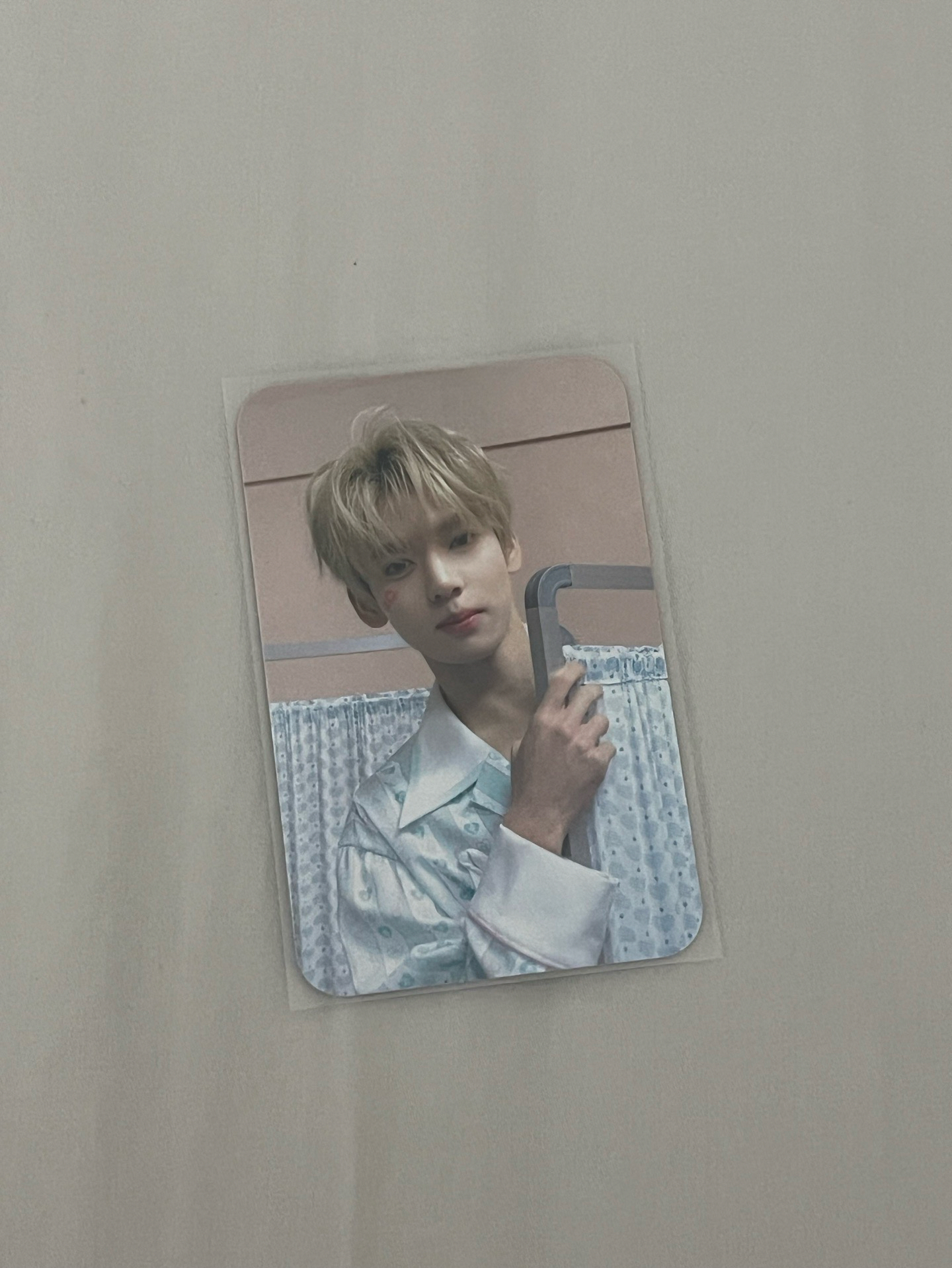 ZB1 / 韓維辰🐰｜迷五SW嘎咕特典