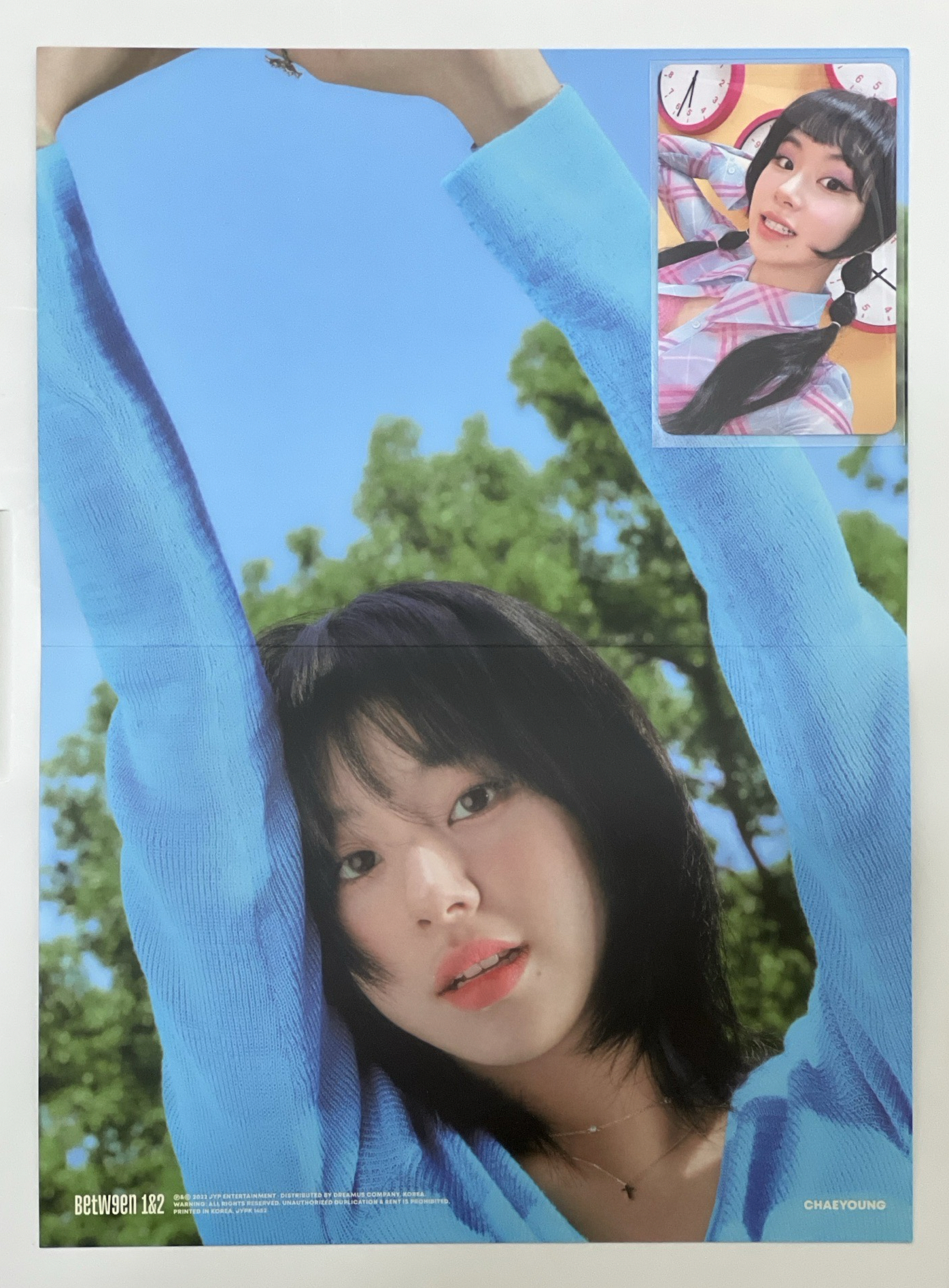 彩瑛｜專卡海報組