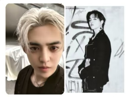 正規五黑膠喆（哲）