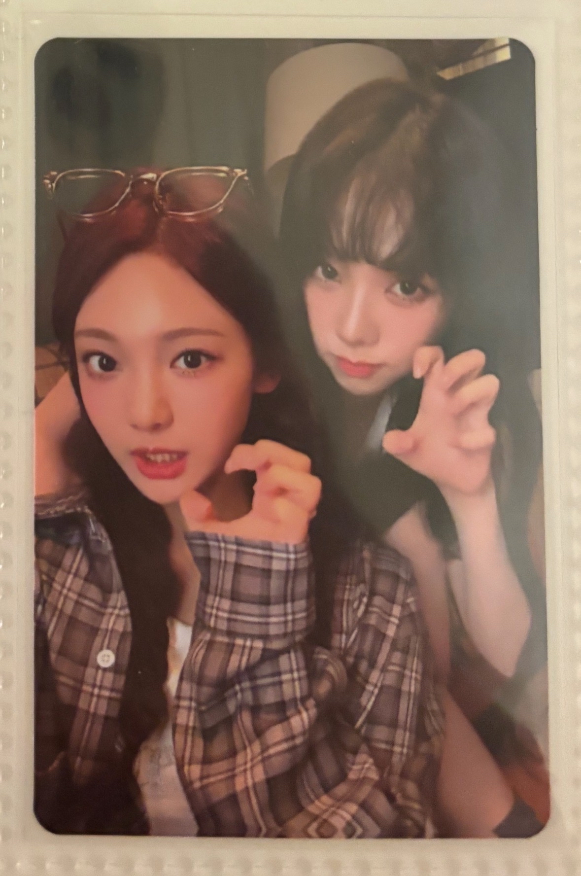 正規一 華納雙人柚寧特典